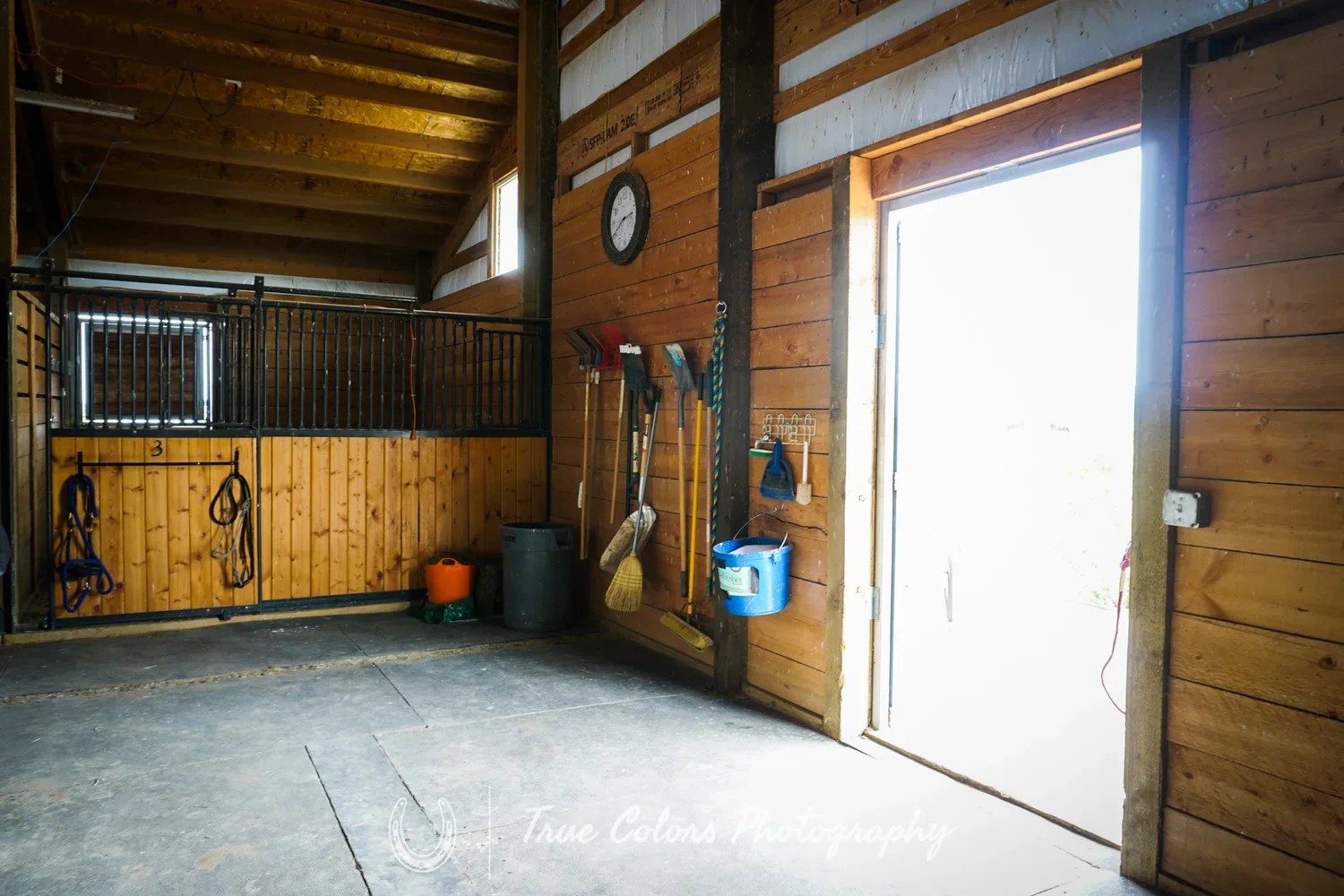 Interior of a rustic barn or stable with wooden walls, a concrete floor, and various cleaning and grooming tools hanging on the wall, including brooms, shovels, and a bucket, with an open door allowing bright sunlight to enter.