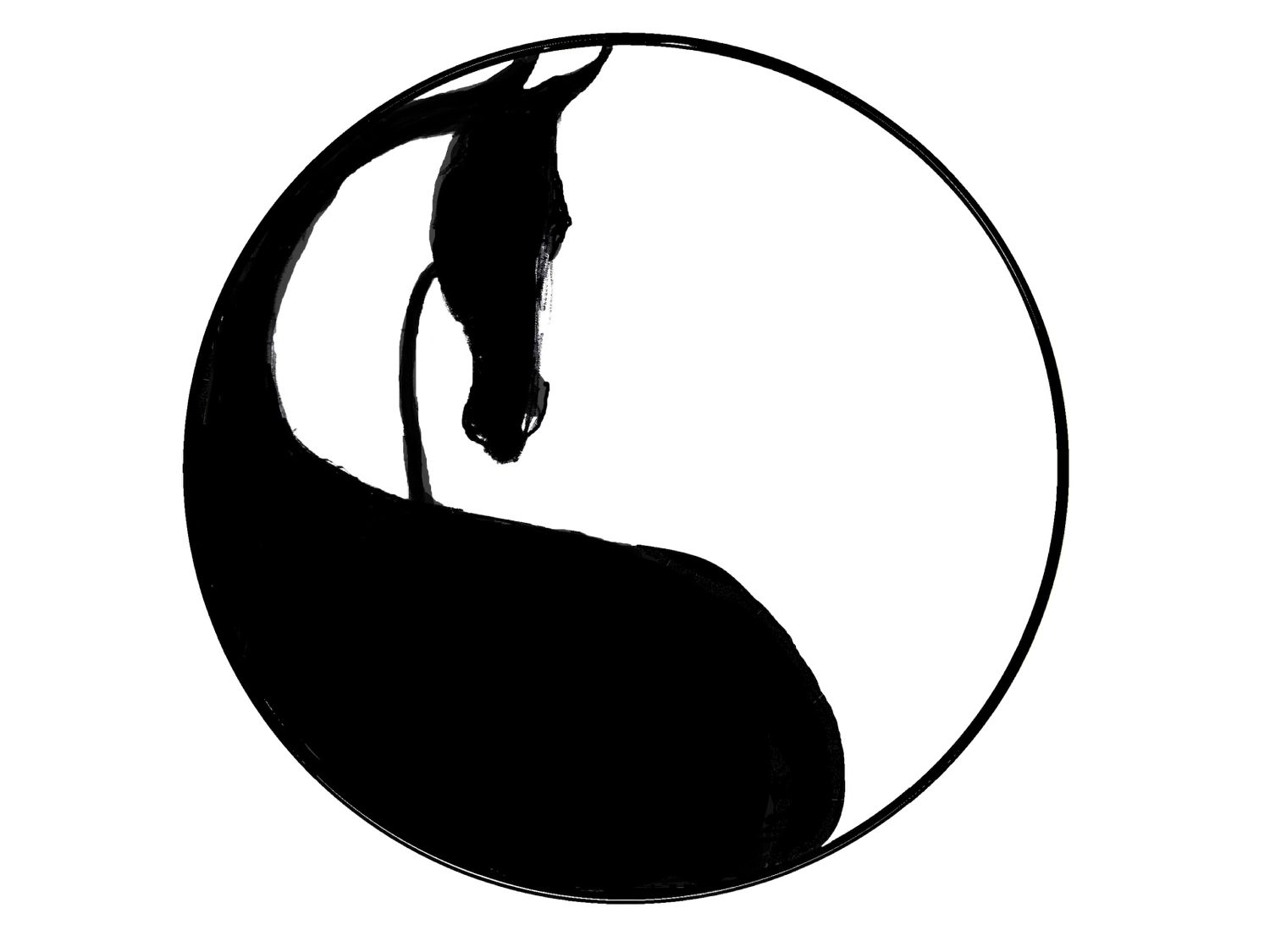 Classical Horsemanship