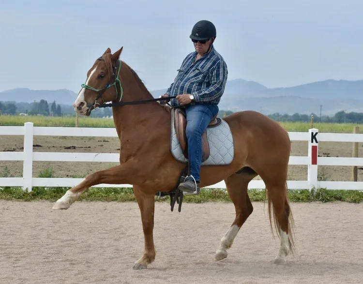 Craig Stevens classical dressage instructor at classical horsemanship