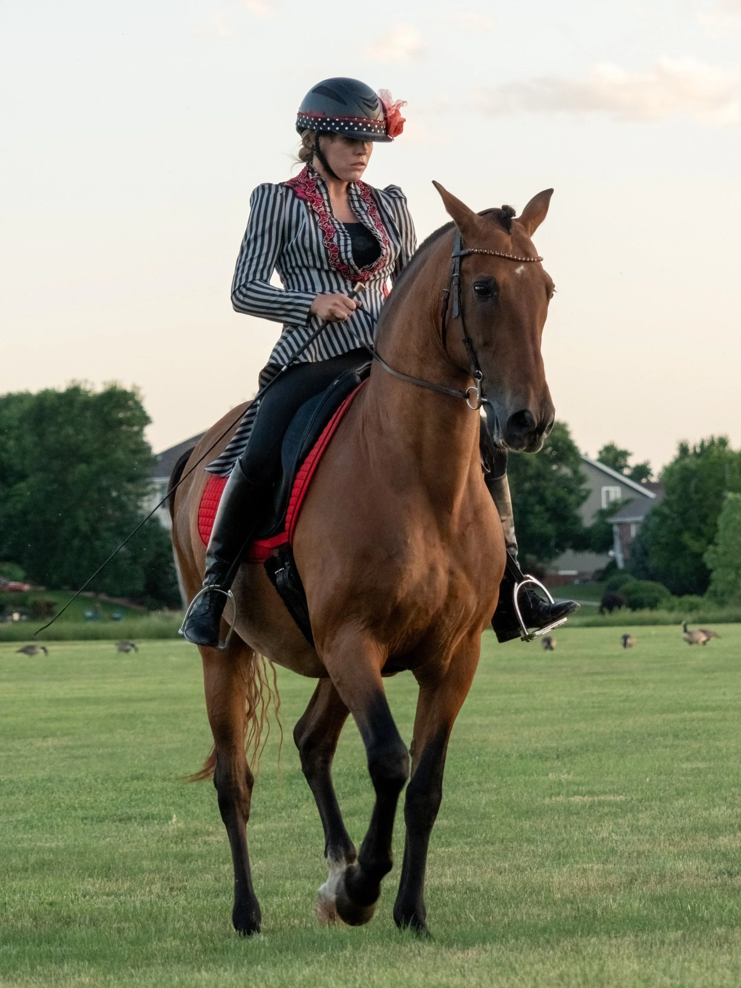 Megan Sorentino and Julepe performing a piaffe
