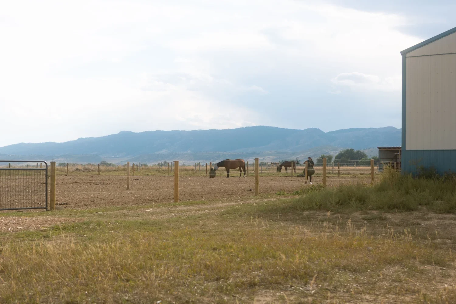 Open field with horses grazing, fenced with wooden posts, near a large metal building, and mountains in the background under a cloudy sky.