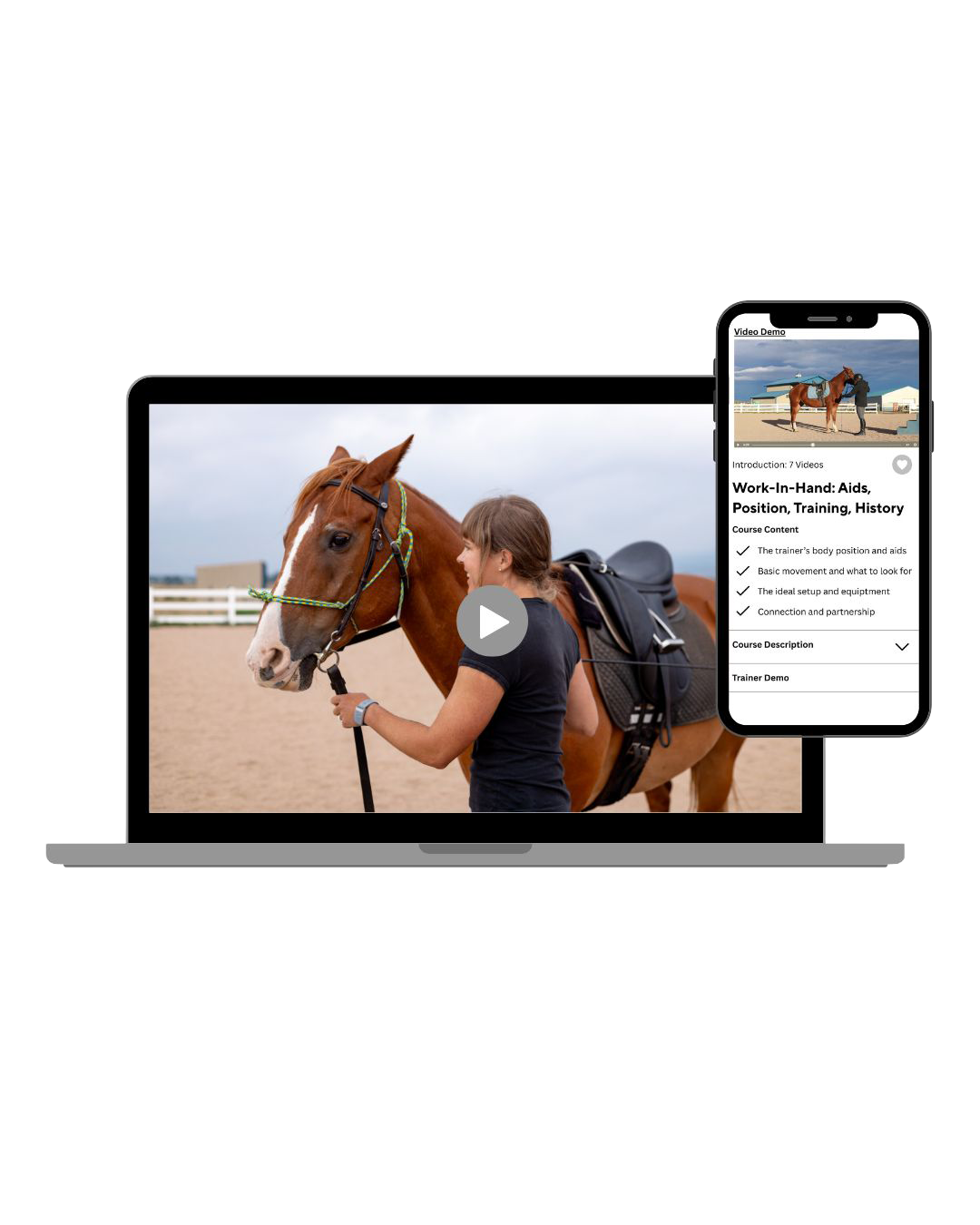 Harmony in Hand online horse training program. Featuring work in hand and our Harmony With Horses Membership
