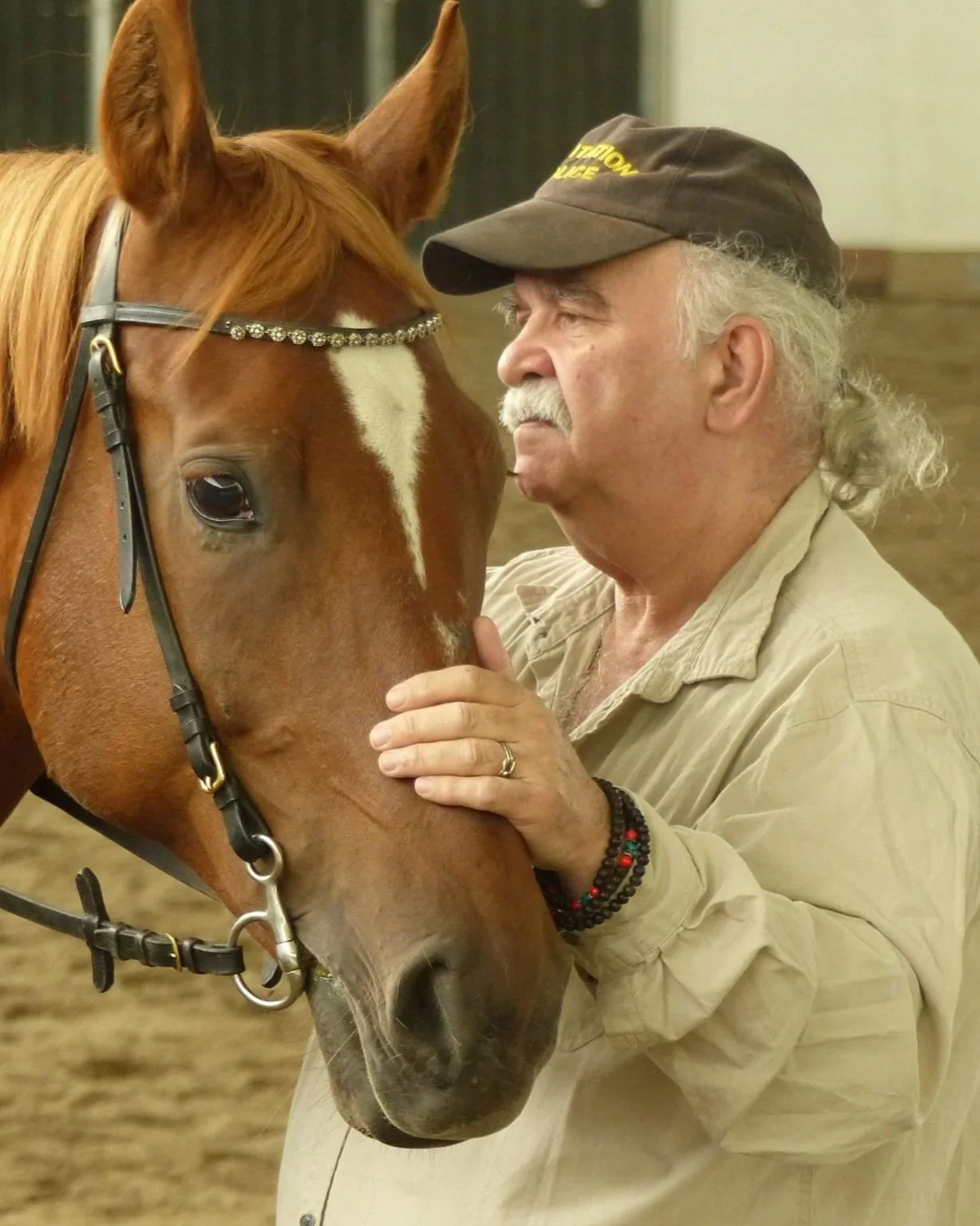 Craig Stevens horse master work in hand and classical horsemanship