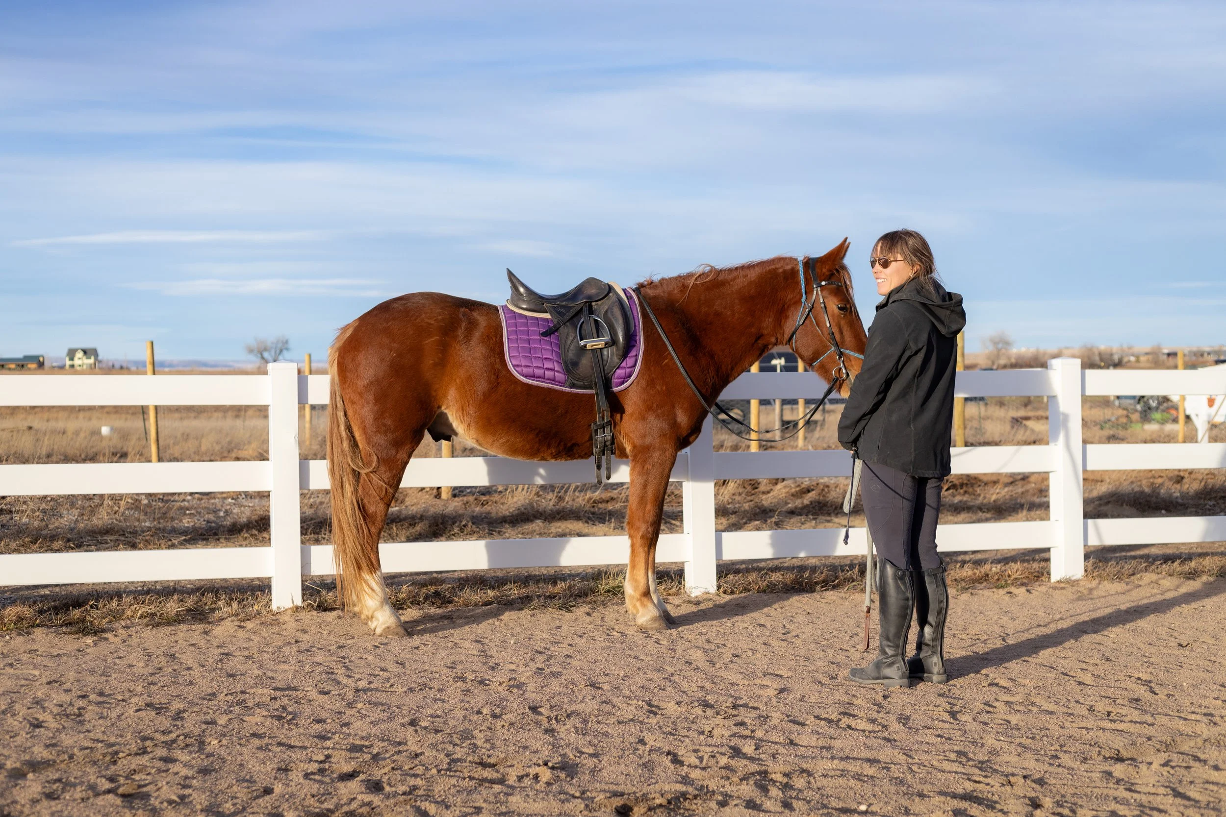 work in hand training to improve horse balance and softness. Learn to train your own horse through classical work-in-hand.