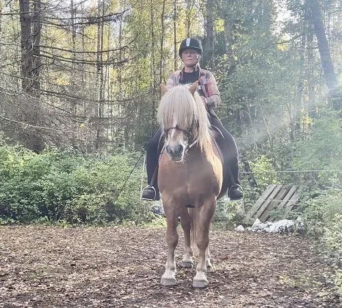 Person wearing a helmet riding a horse in a wooded area.