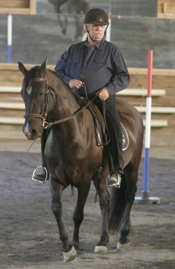 Craig Stevens classical dressage master