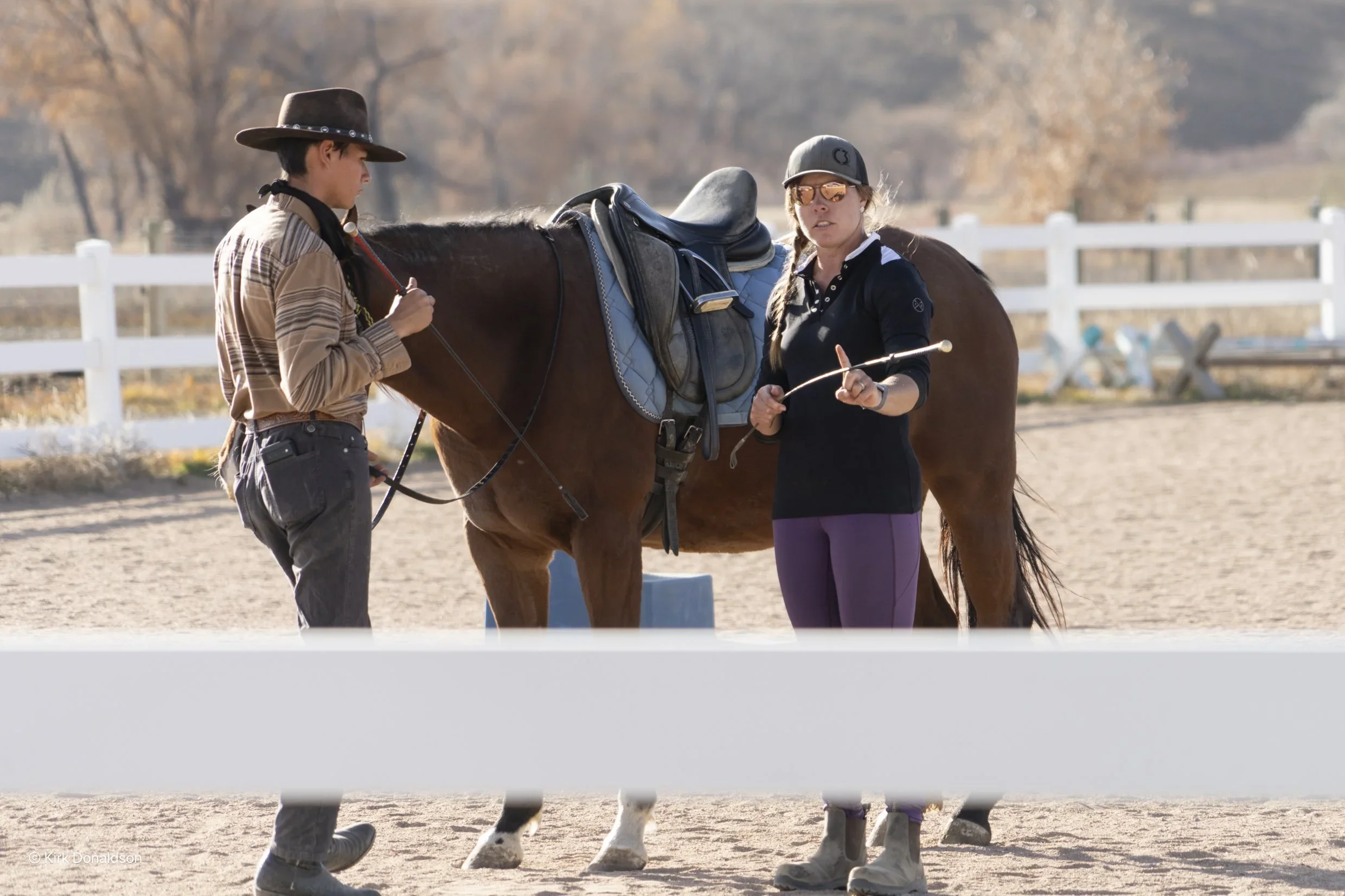 “training your own horse using in hand techniques at classical horsemanship. online training course to help you have a soft, calm, reliable horse
