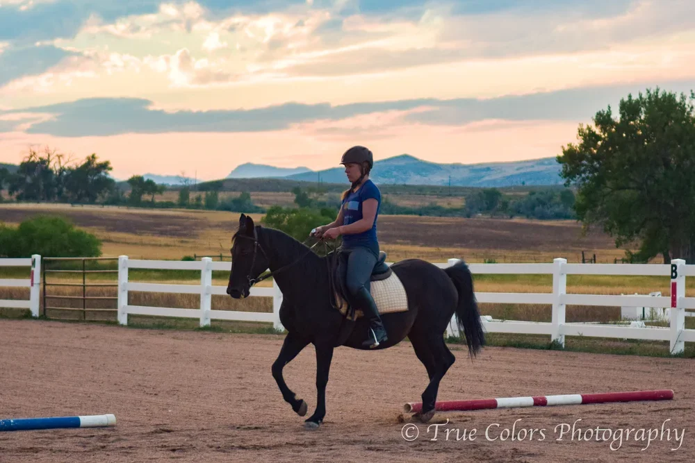 learning to train your own horse with correct techniques