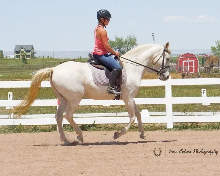 Megan Sorentino riding her Andalusian Grayson through classical dressage at Classical Horsemanship
