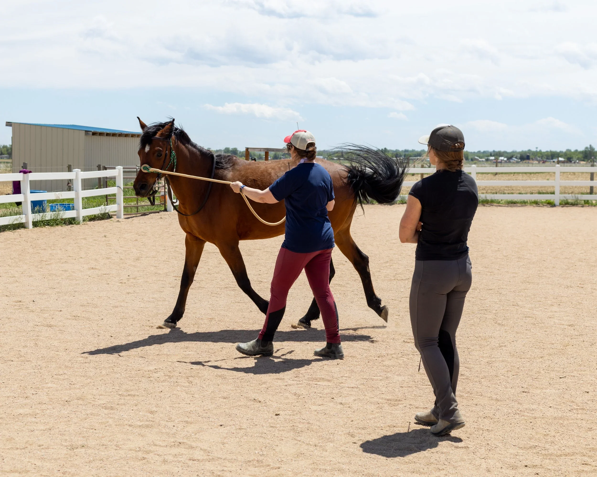 Two women working with a brown horse in an outdoor riding arena on a cloudy day. One woman holds the horse's lead and guides it, while the other stands nearby observing.