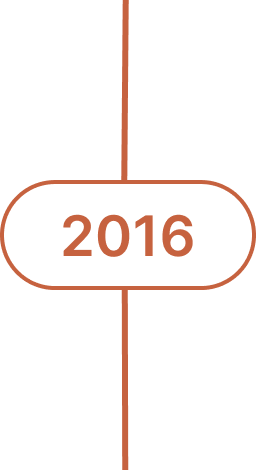 A graphic timeline marker with the year 2016 displayed inside an oval shape.