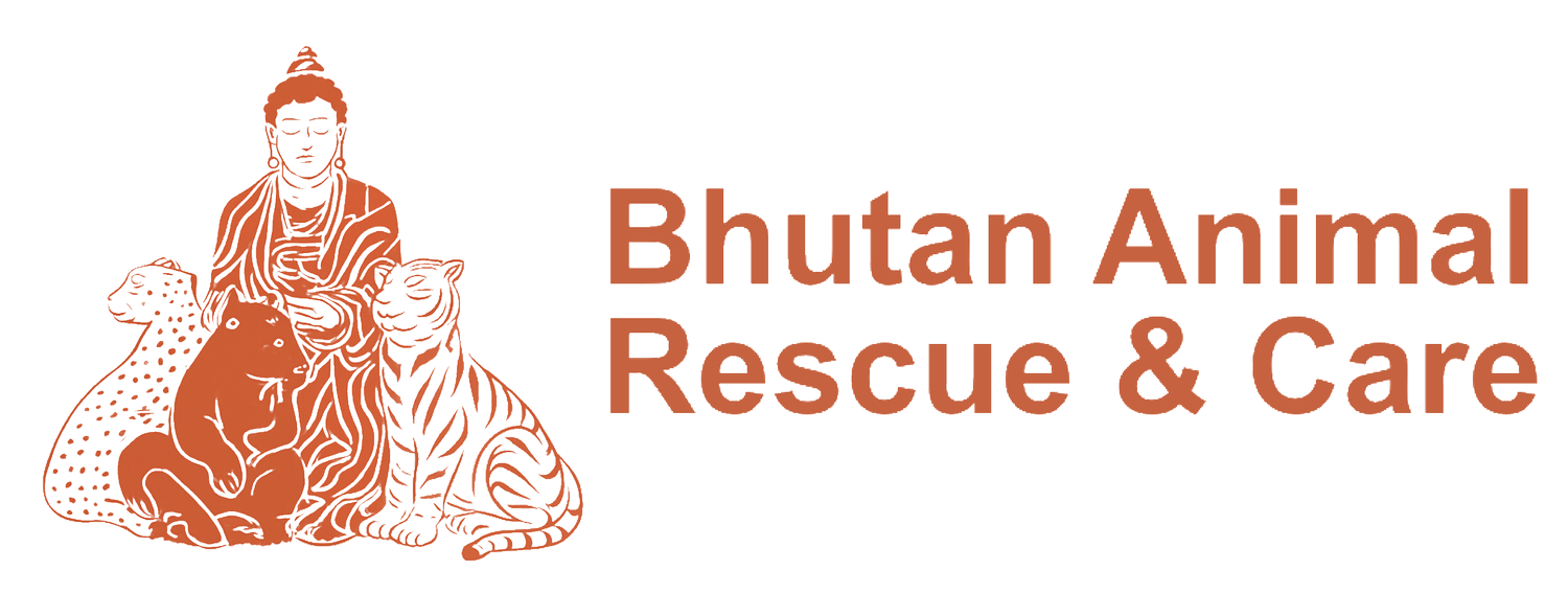 BARC Bhutan: Animal Rescue &amp; Care | Centre for Animal Happiness