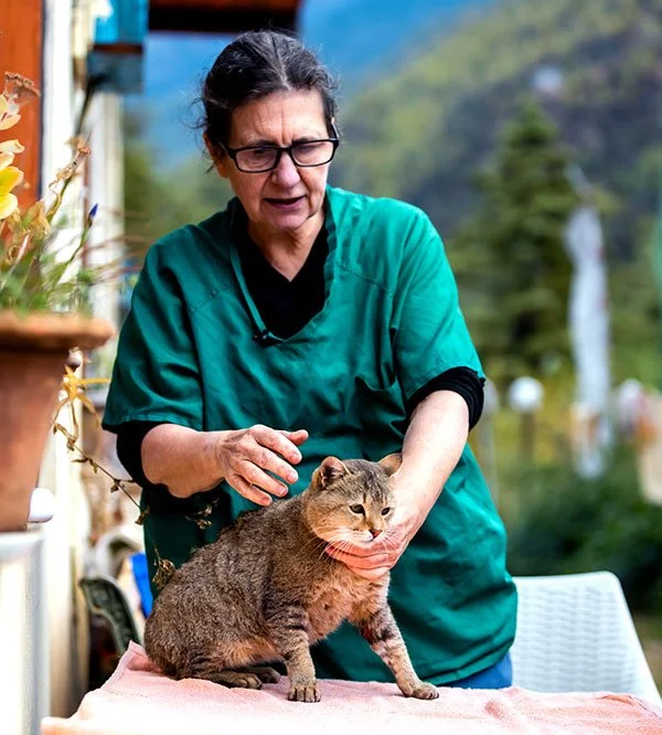 A woman in teal scrubs gently holds a brown tabby cat on a pink towel outdoors with a mountain and forest in the background.