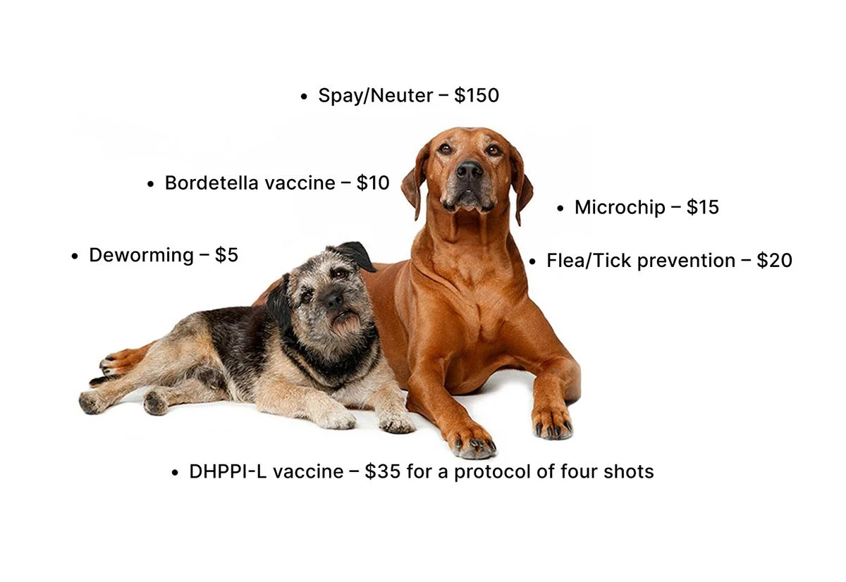 Dog and puppy with pet services and prices listed, including spay/neuter for $150, Bordetella vaccine for $10, Deworming for $5, DHPP-L vaccine for $35, Microchip for $15, and Flea/Tick prevention for $20.