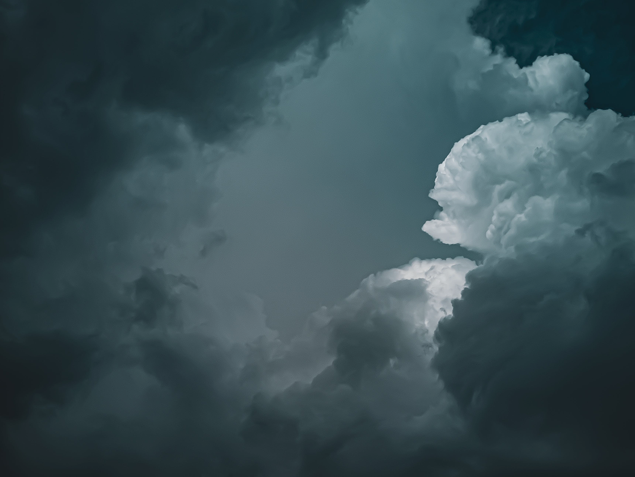 Svcs-banners_0001_6.png