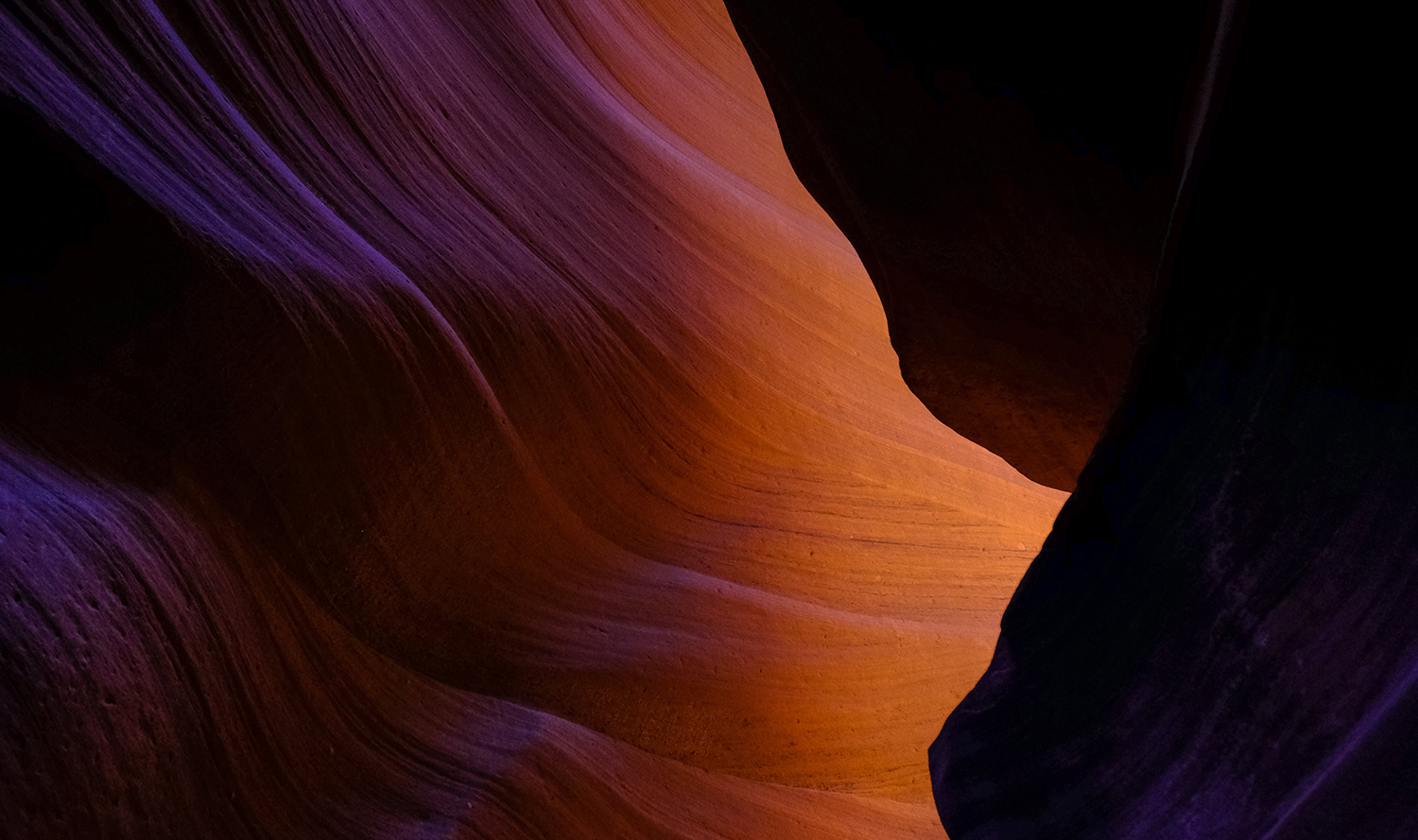 Svcs-banners_0000_6.png