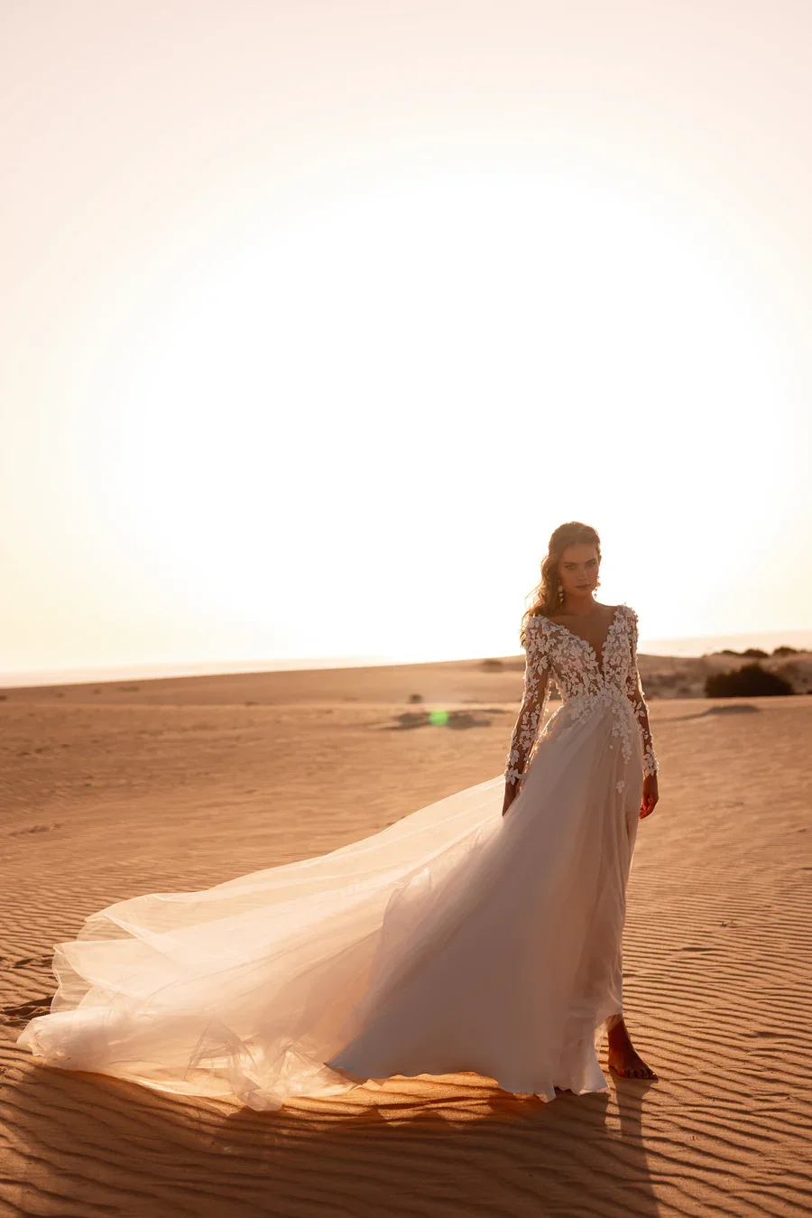 farida2.webp
