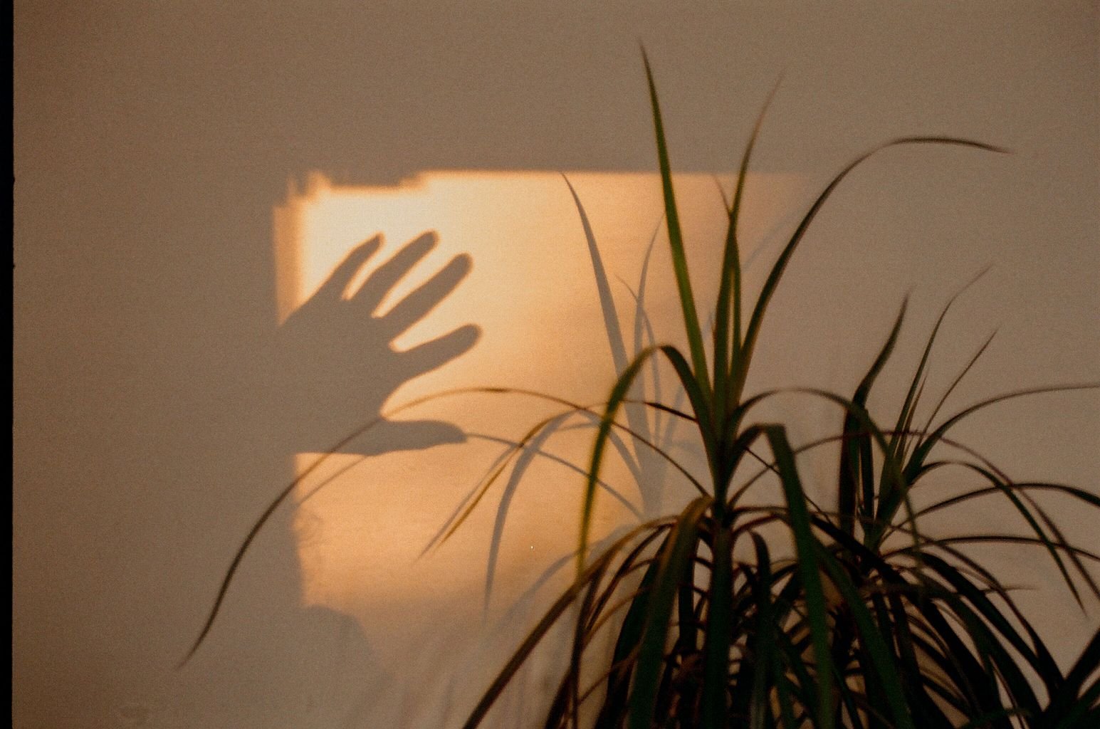 The Light Is Always There… you just gotta turn it on.