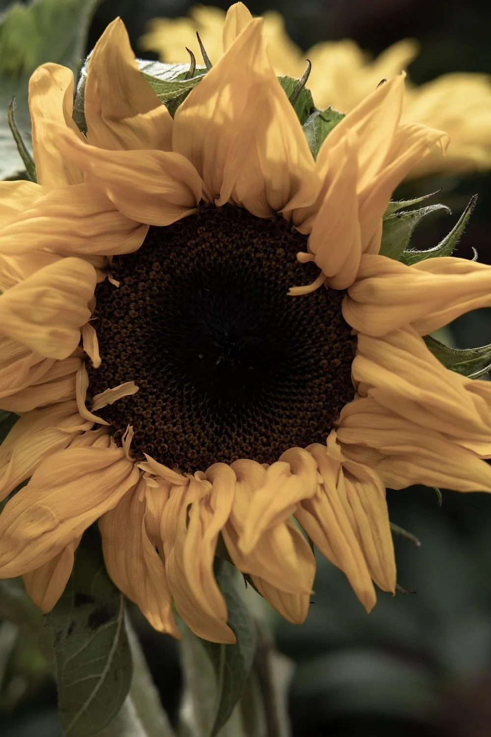 Hannah Baldwin : Bridges science and spirituality