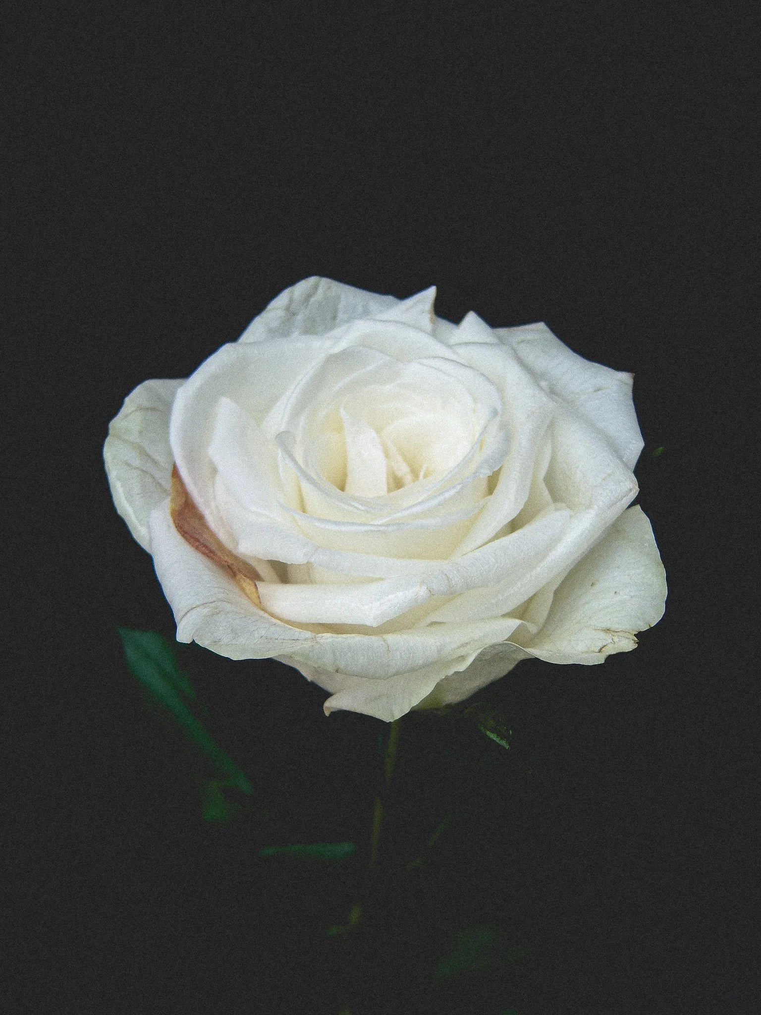 Hannah baldwin - Business psychologist and intuitive healer