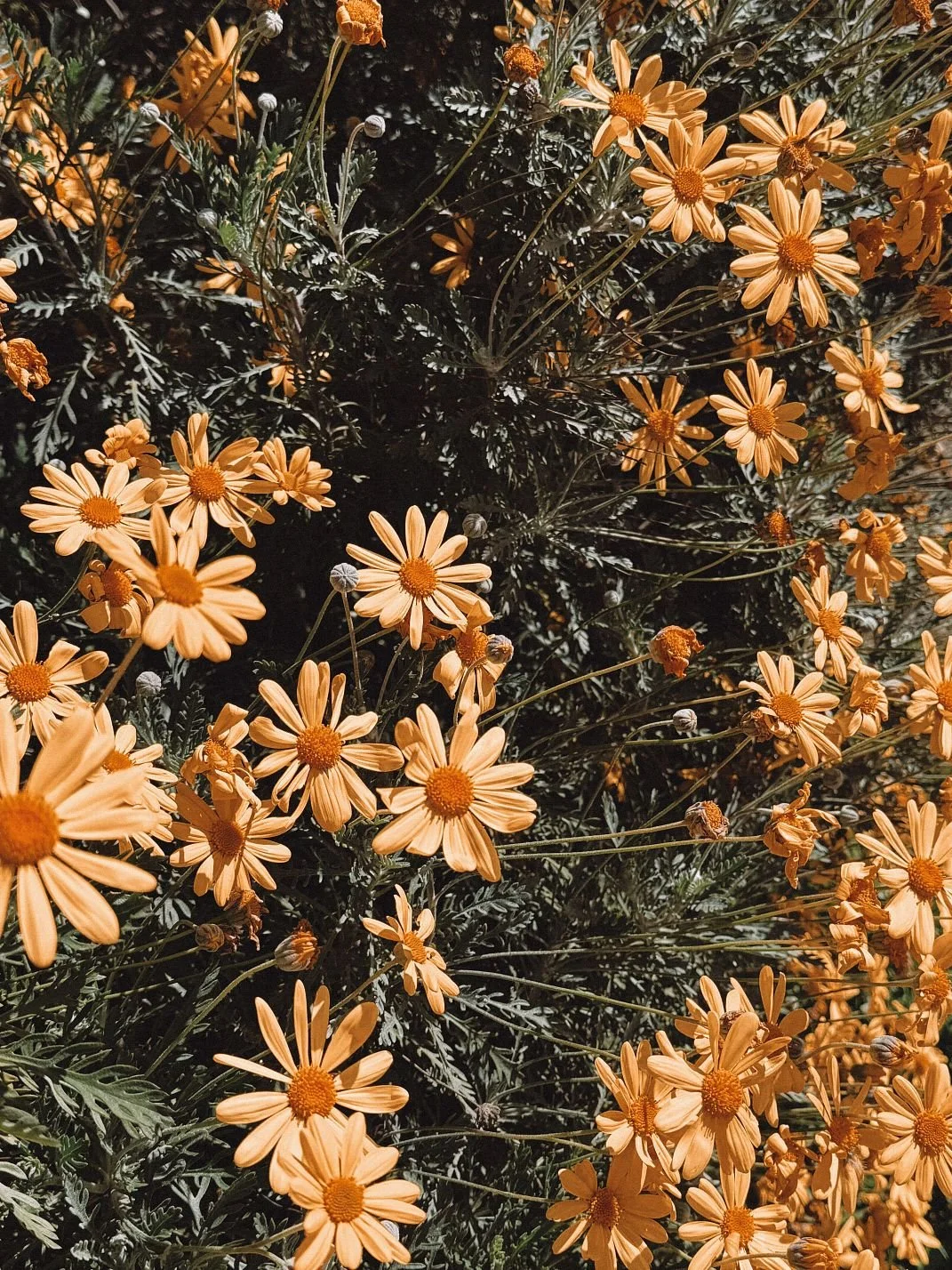 Hannah Baldwin - Transformational talks and workshops