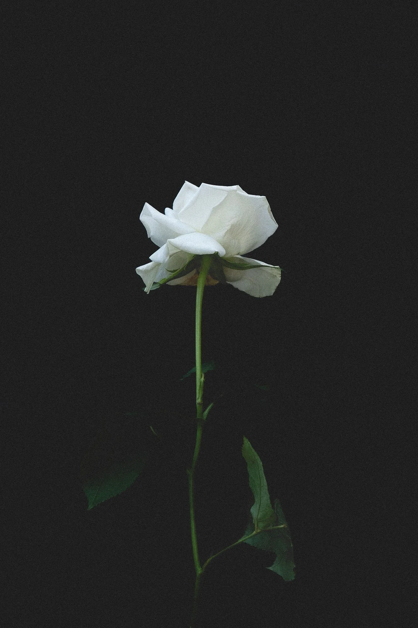 Hannah Baldwin - Business psychologist speaker and intuitive energy healer