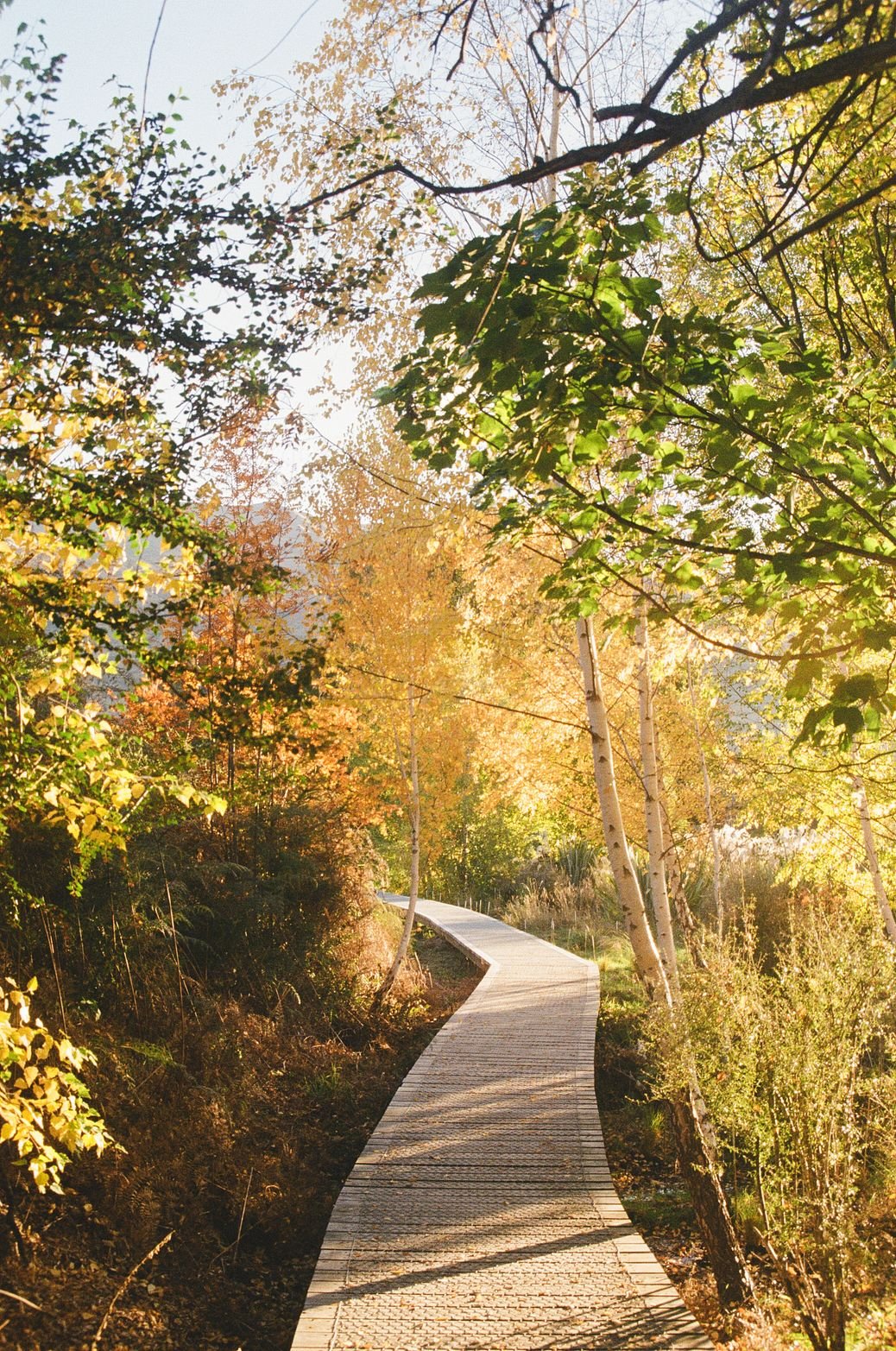 Hannah baldwin intuitive energy healer