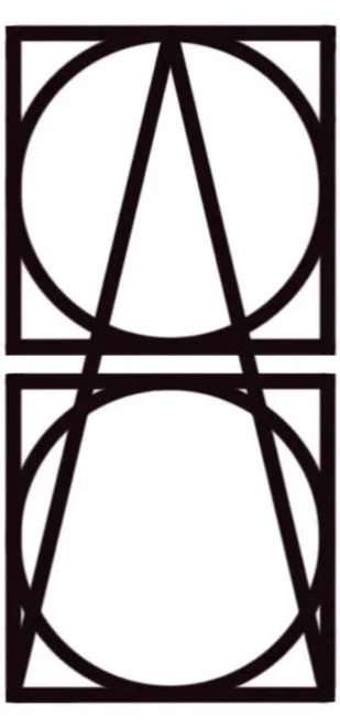 SAFORRIDER Wildlife Art