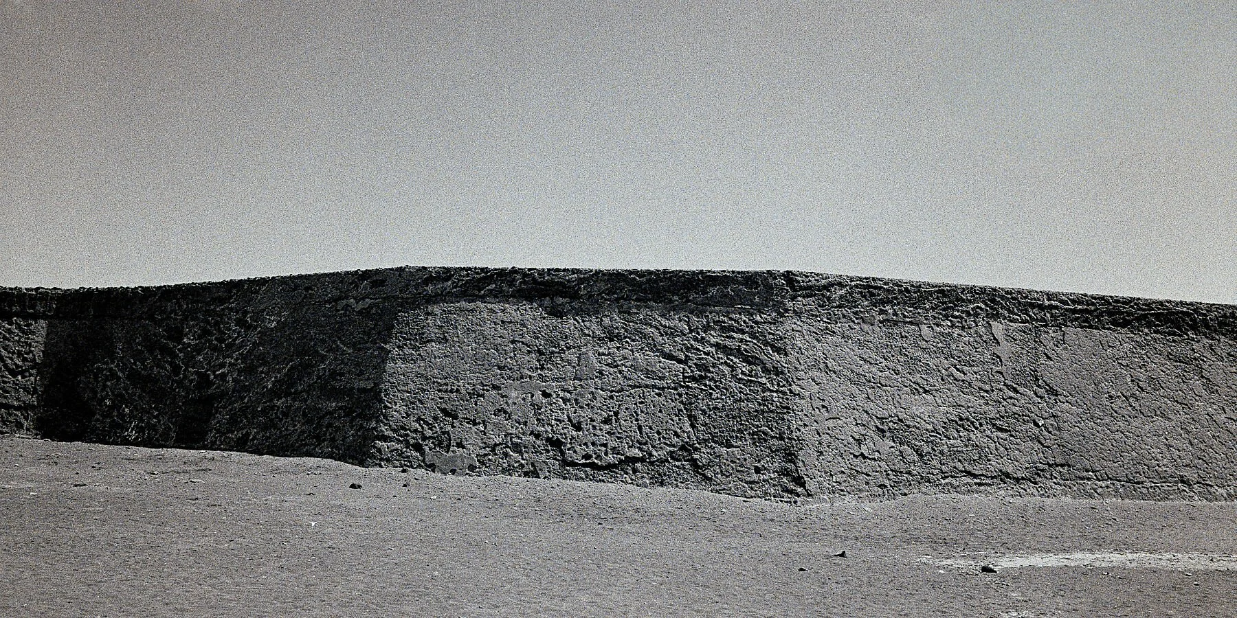 9838011.jpg