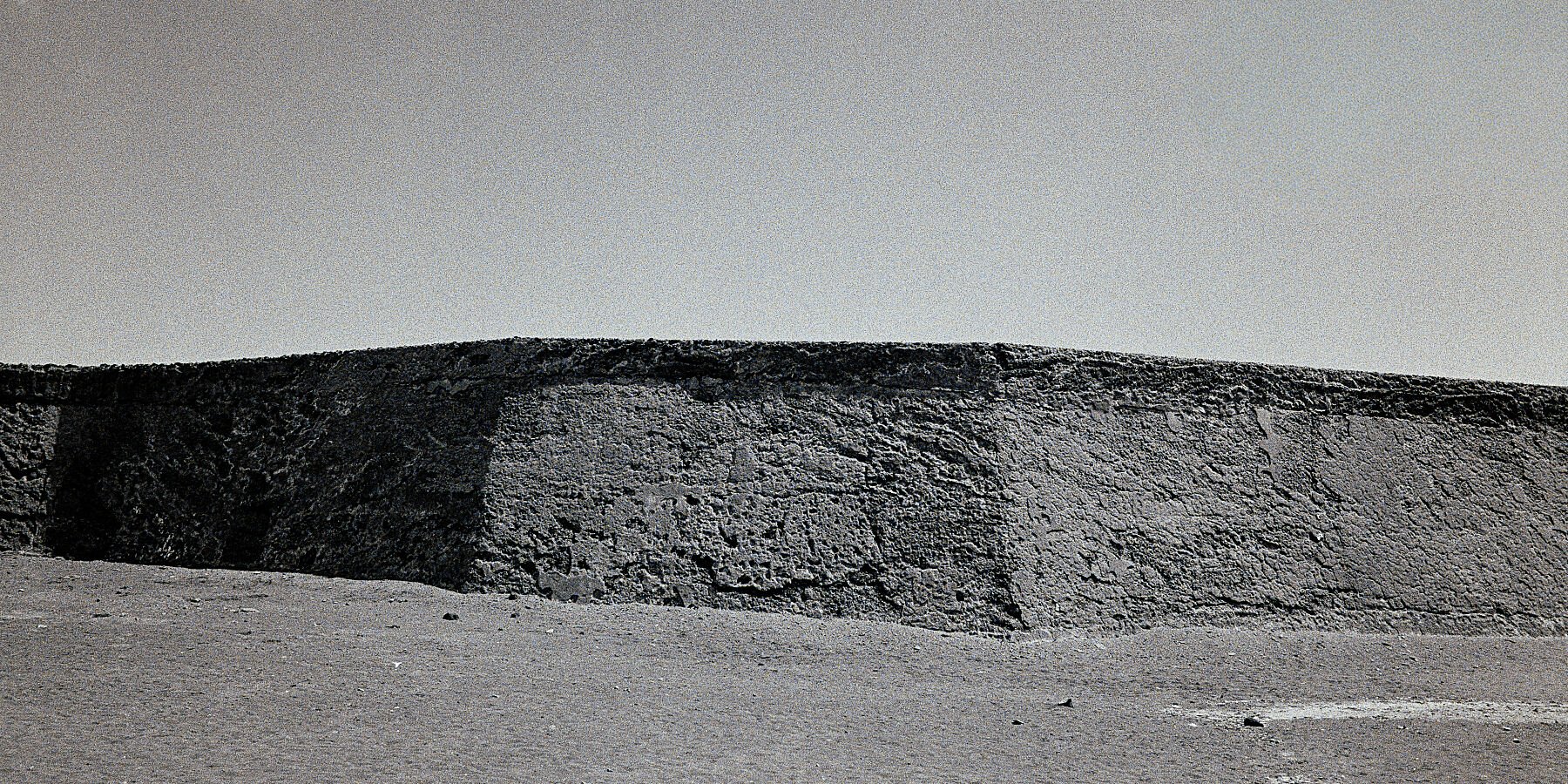 9838011.jpg