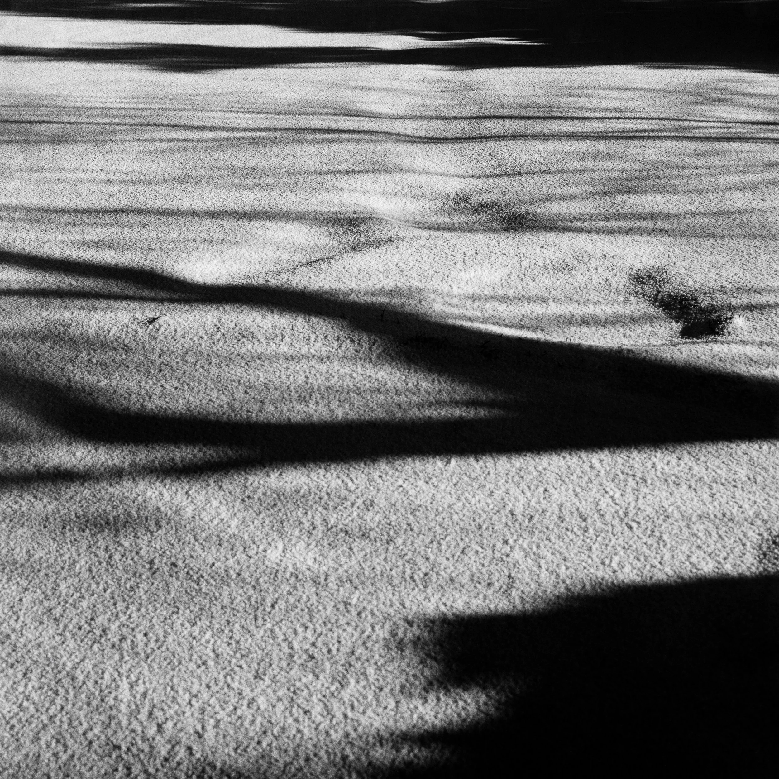 Minimalist black and white analog photograph of sand surface patterns and long shadows forming abstract landscape textures