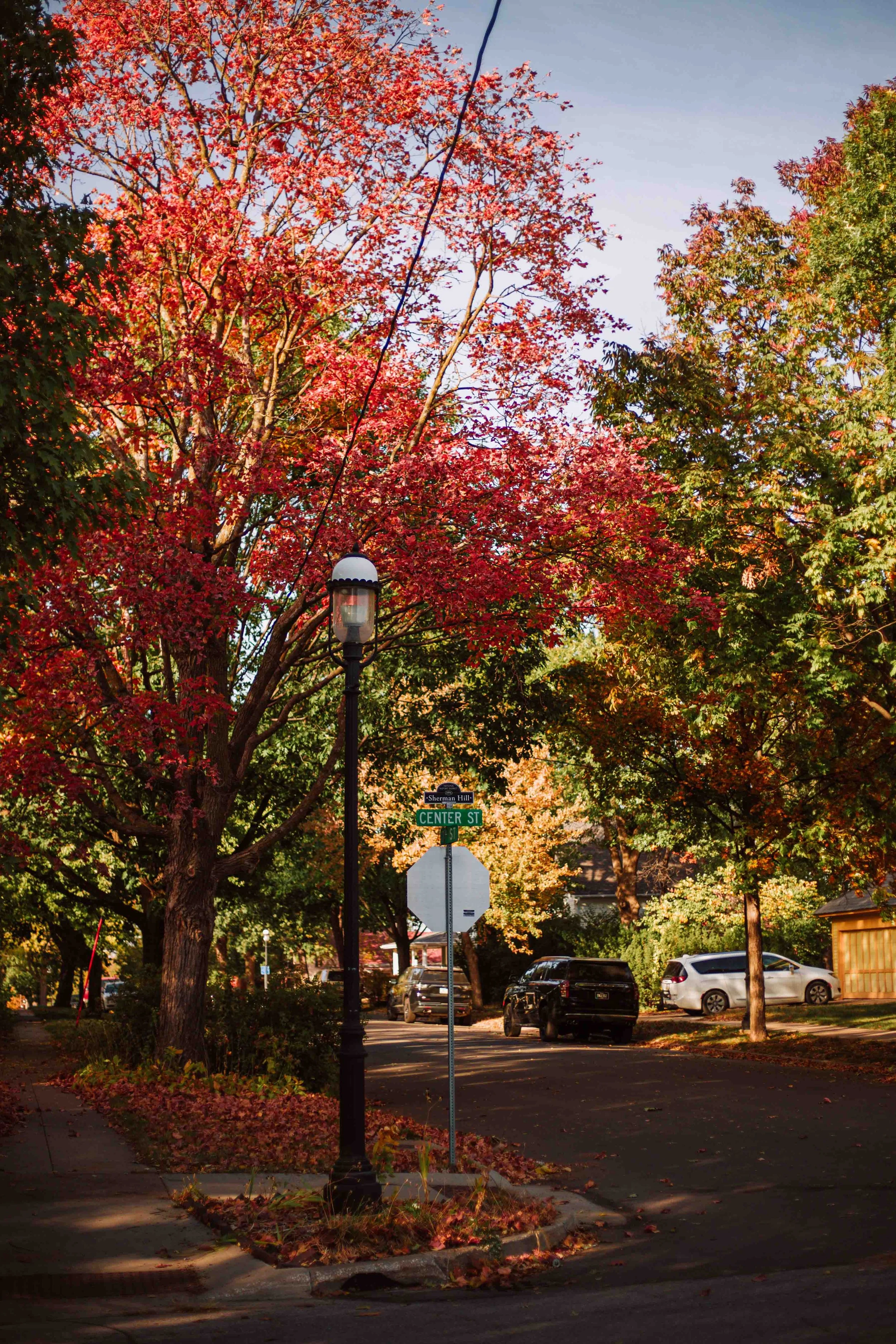 SG24_Fall-Colors-10.jpg