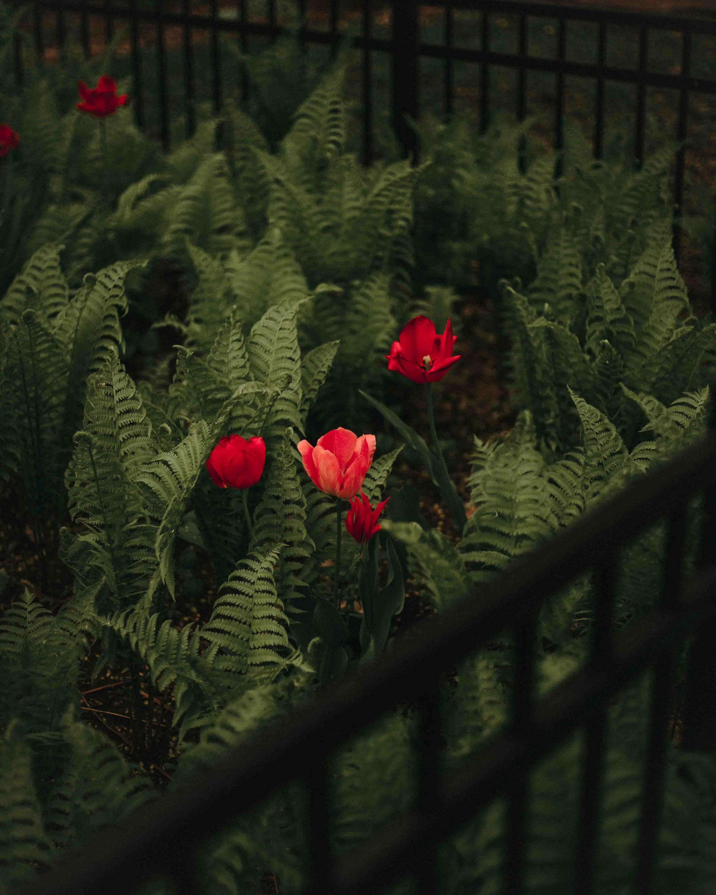 SG25_Springtime-On-The-Hill-14.jpg