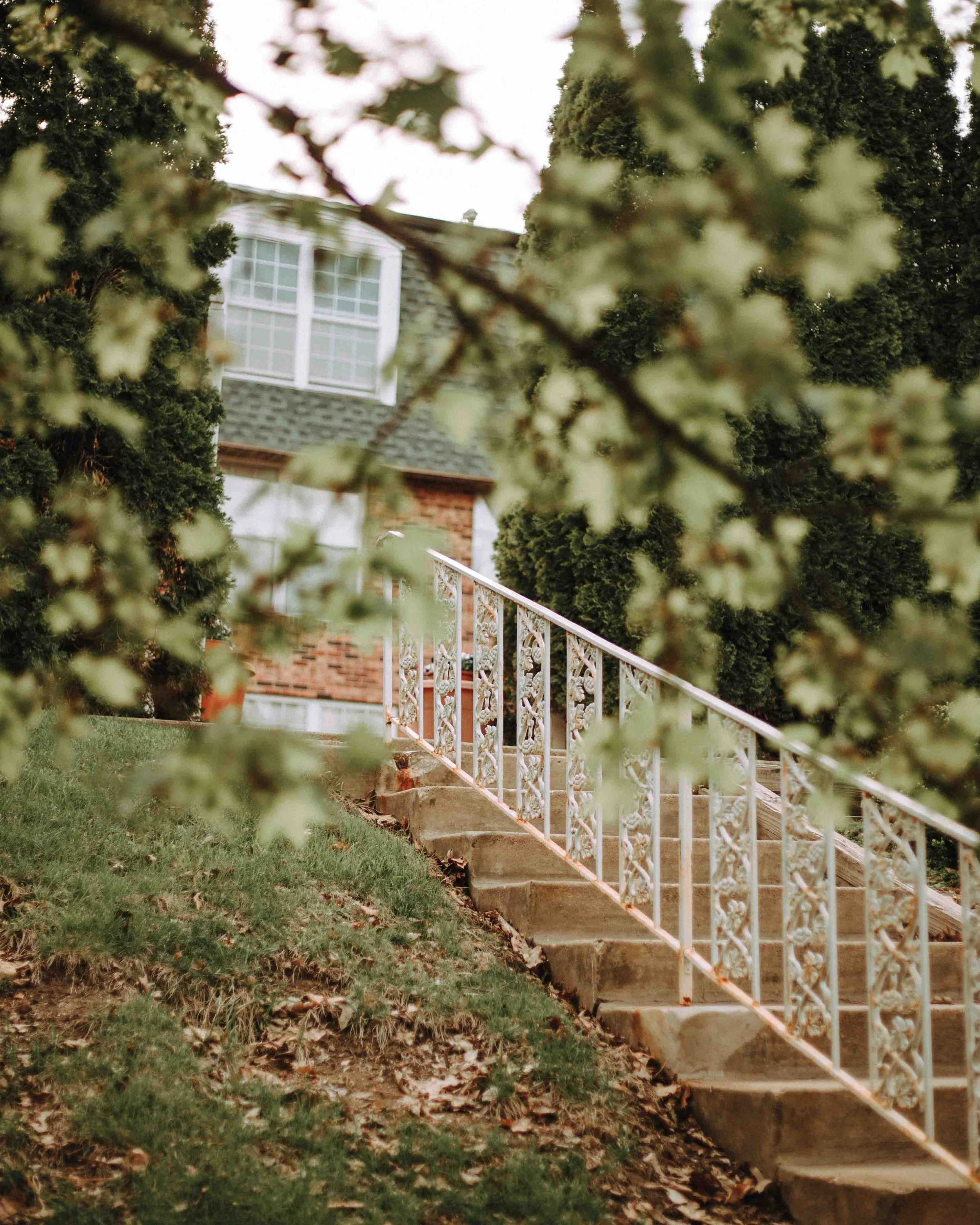 SG25_Springtime-On-The-Hill.jpg