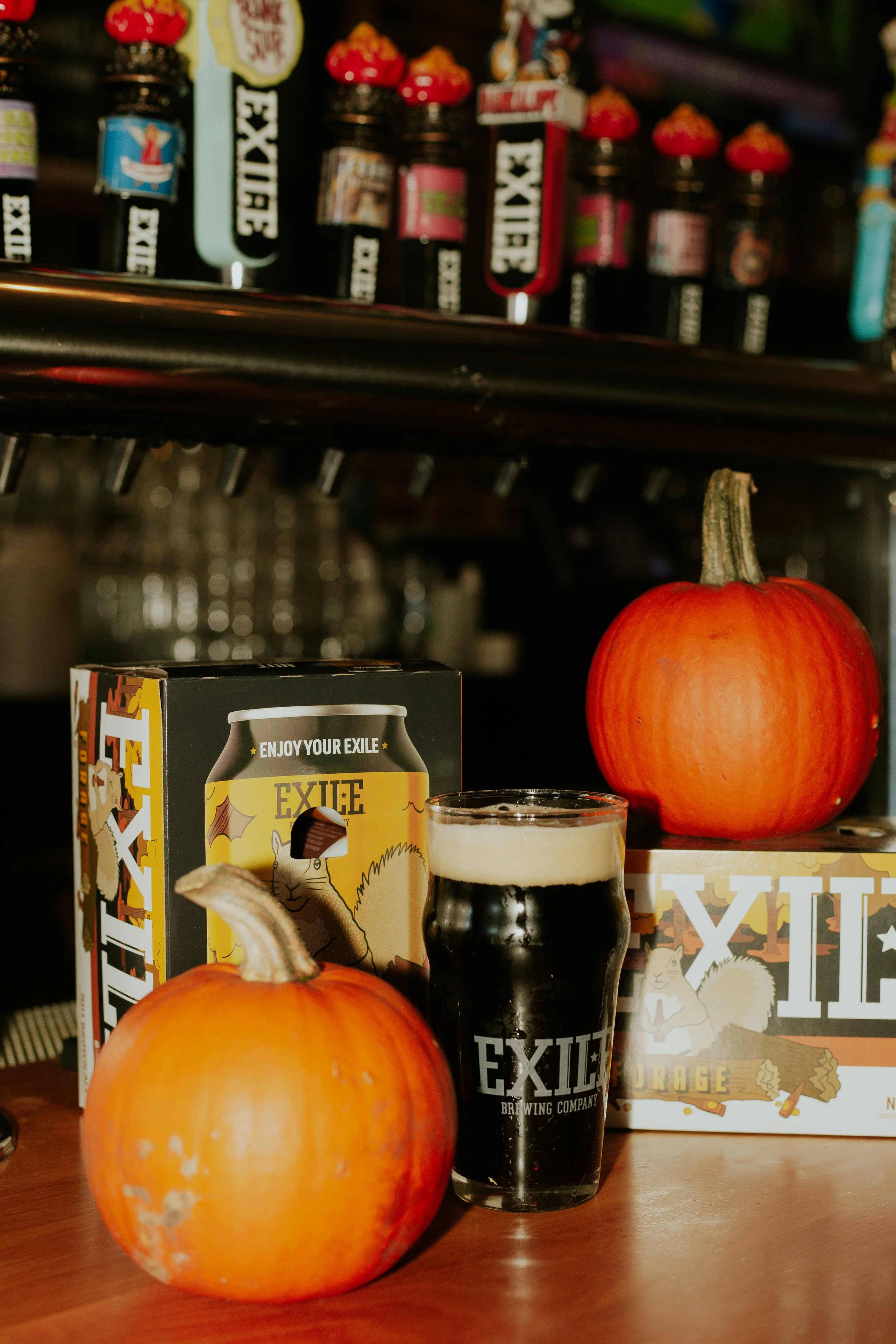 EXILE25_FORAGE-PHOTOS_10-7-25-4.jpg