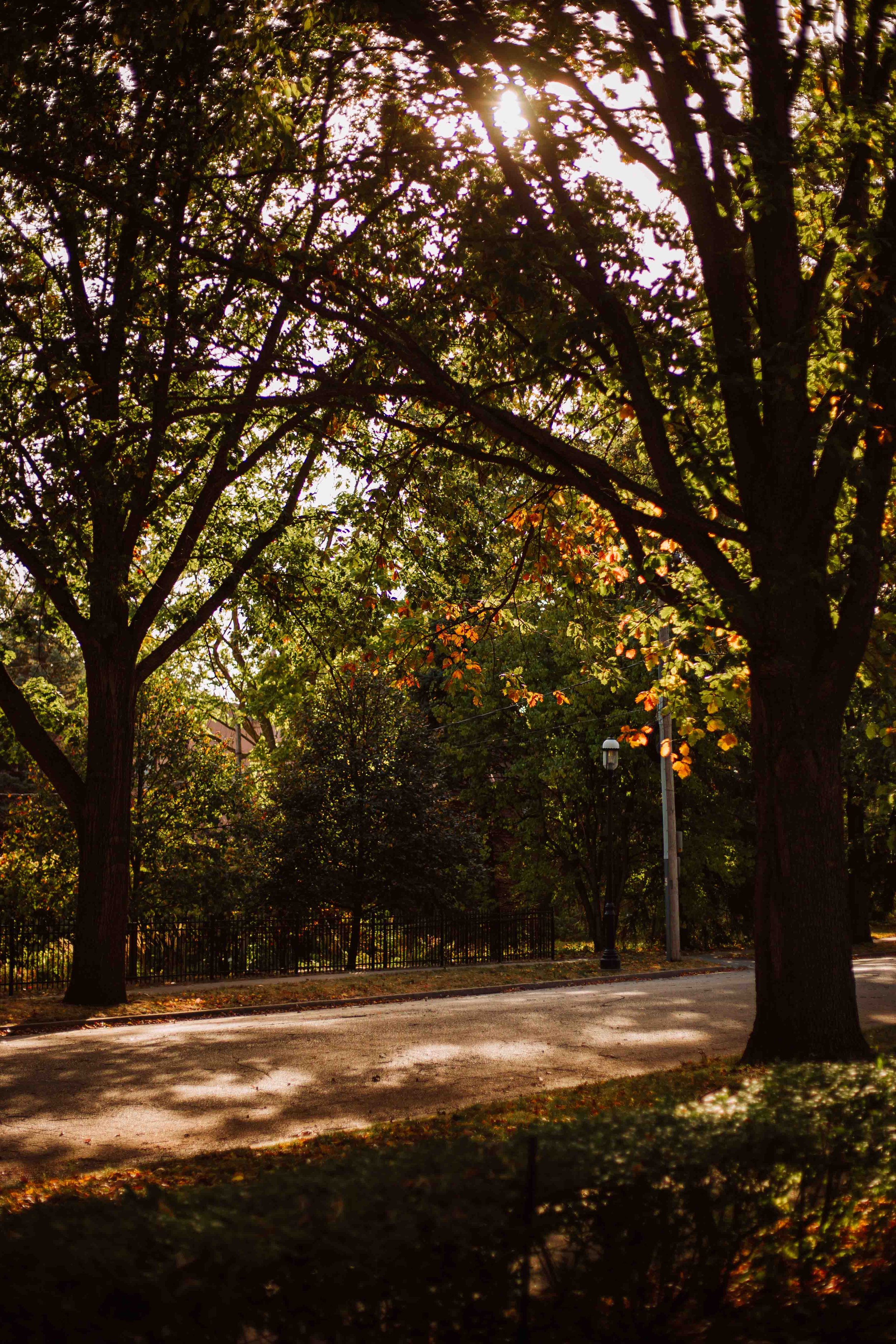 SG24_Fall-Colors-13.jpg