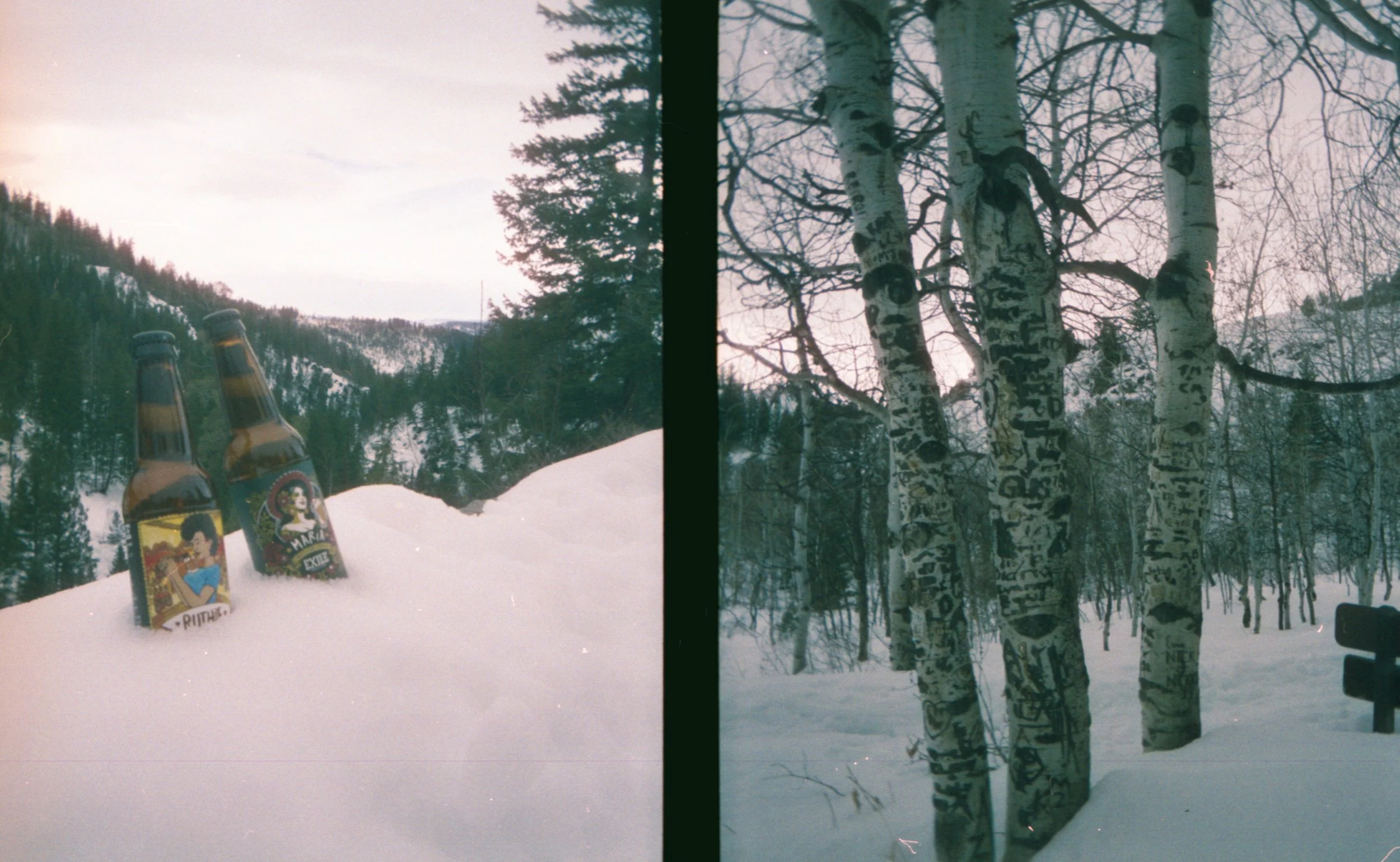 SG25_Film-Scans_Colorado-Feb-25-19.jpg