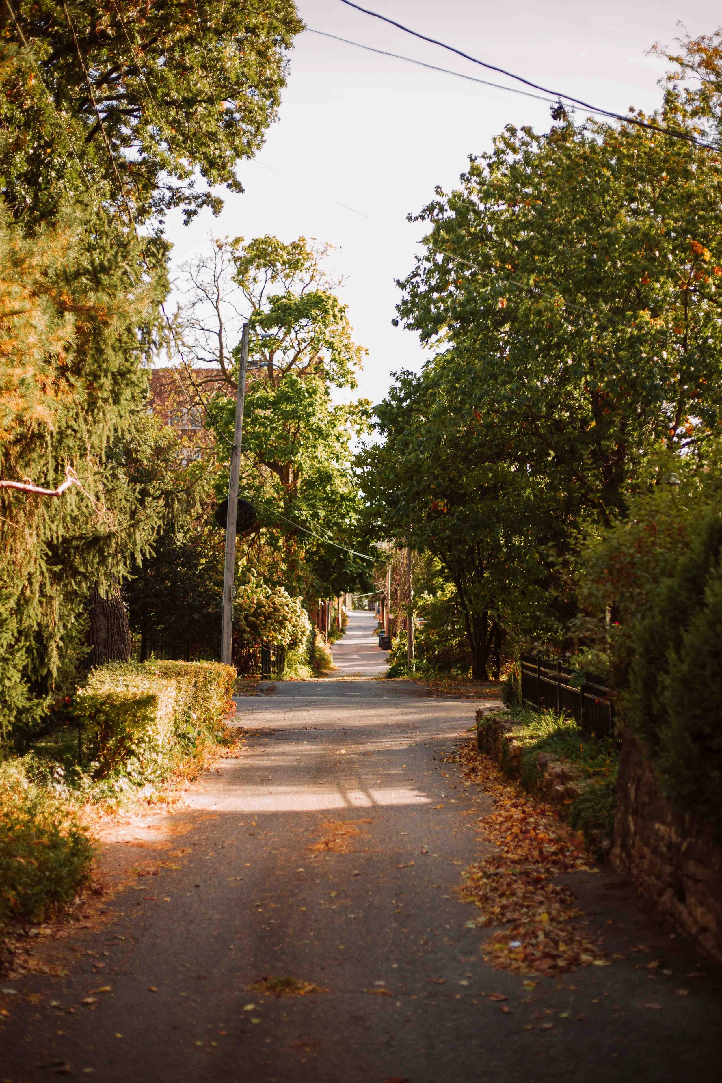 SG24_Fall-Colors-17.jpg
