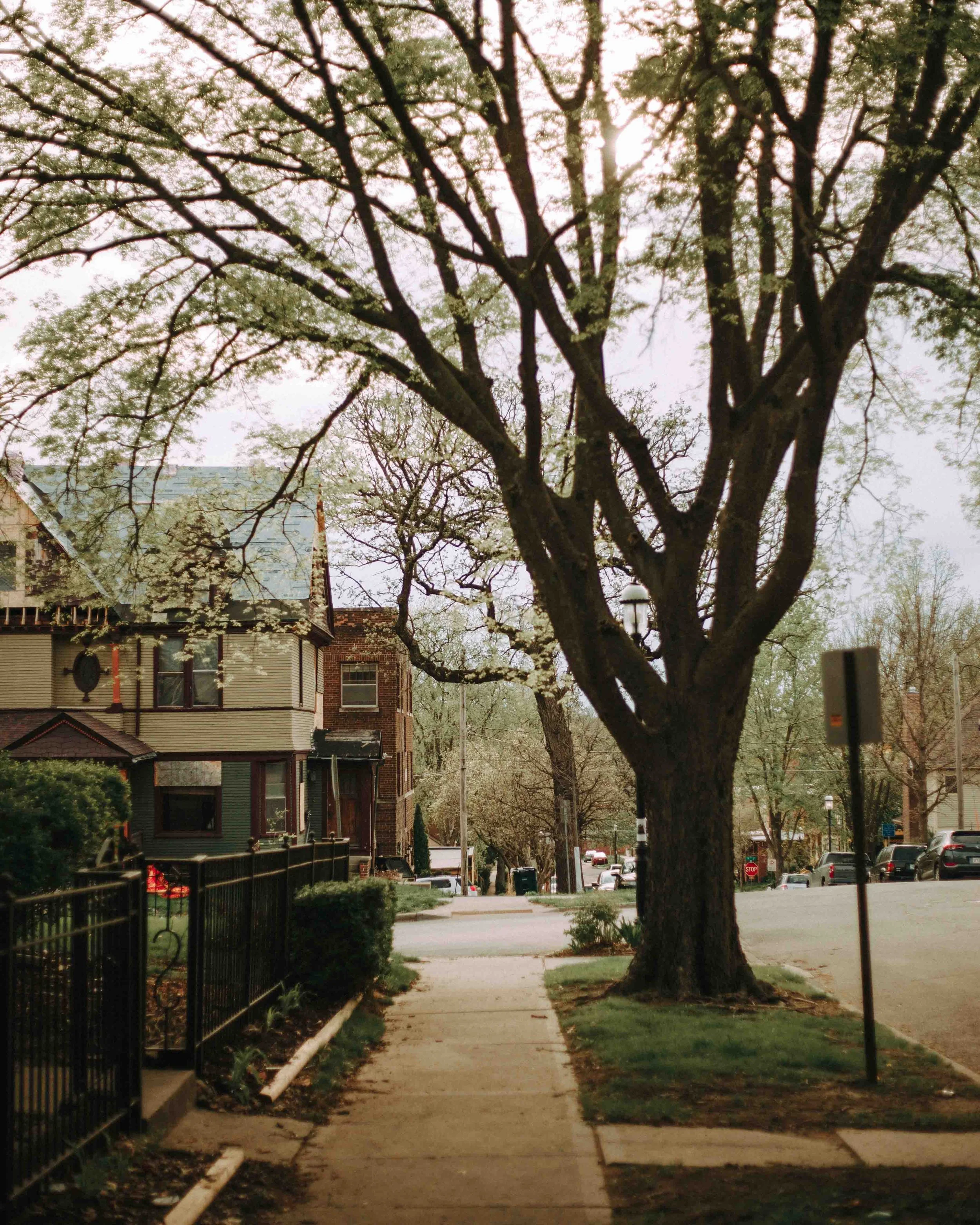 SG25_Springtime-On-The-Hill-9.jpg