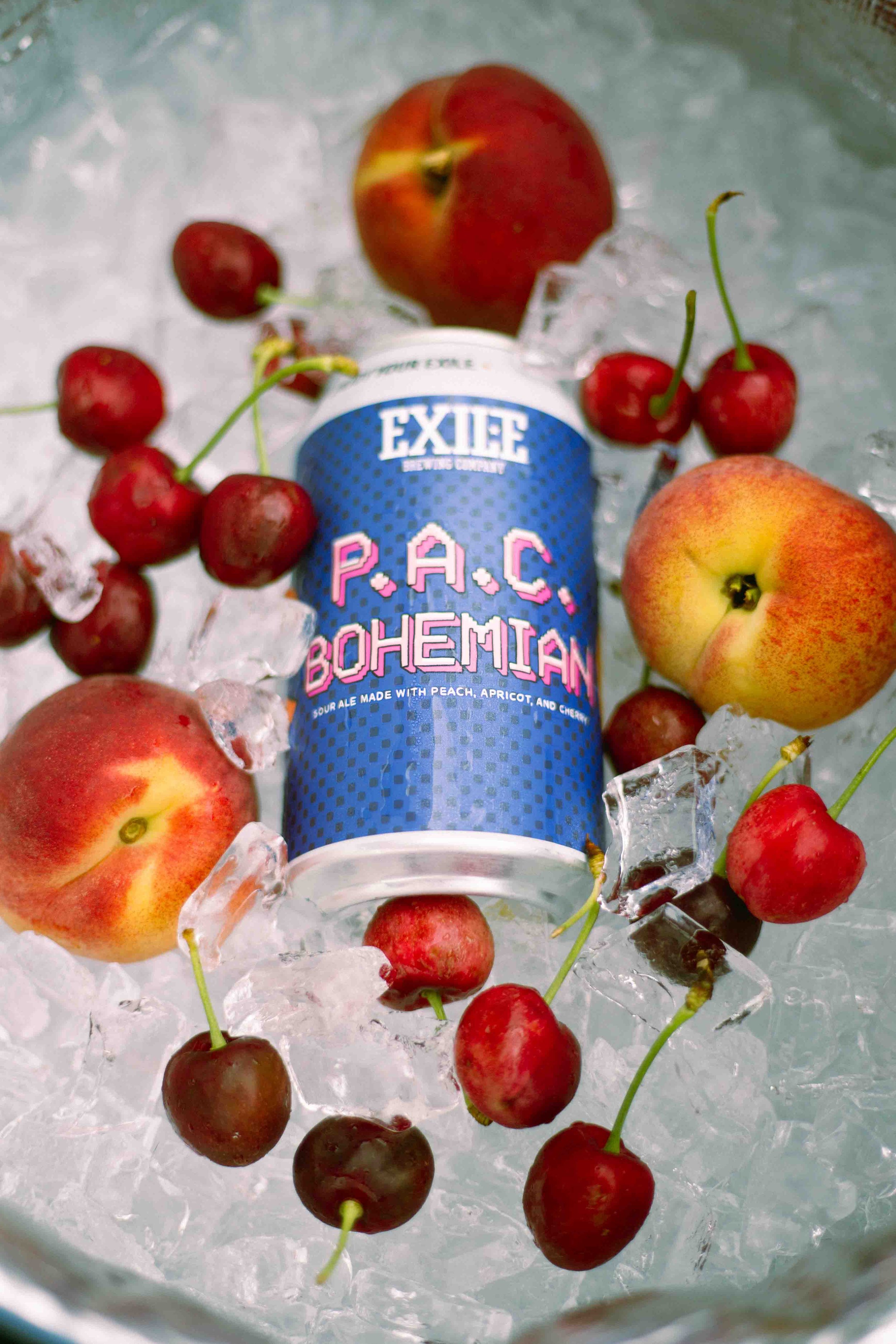 EXILE24_P.A.C.-Bohemian-11.jpg