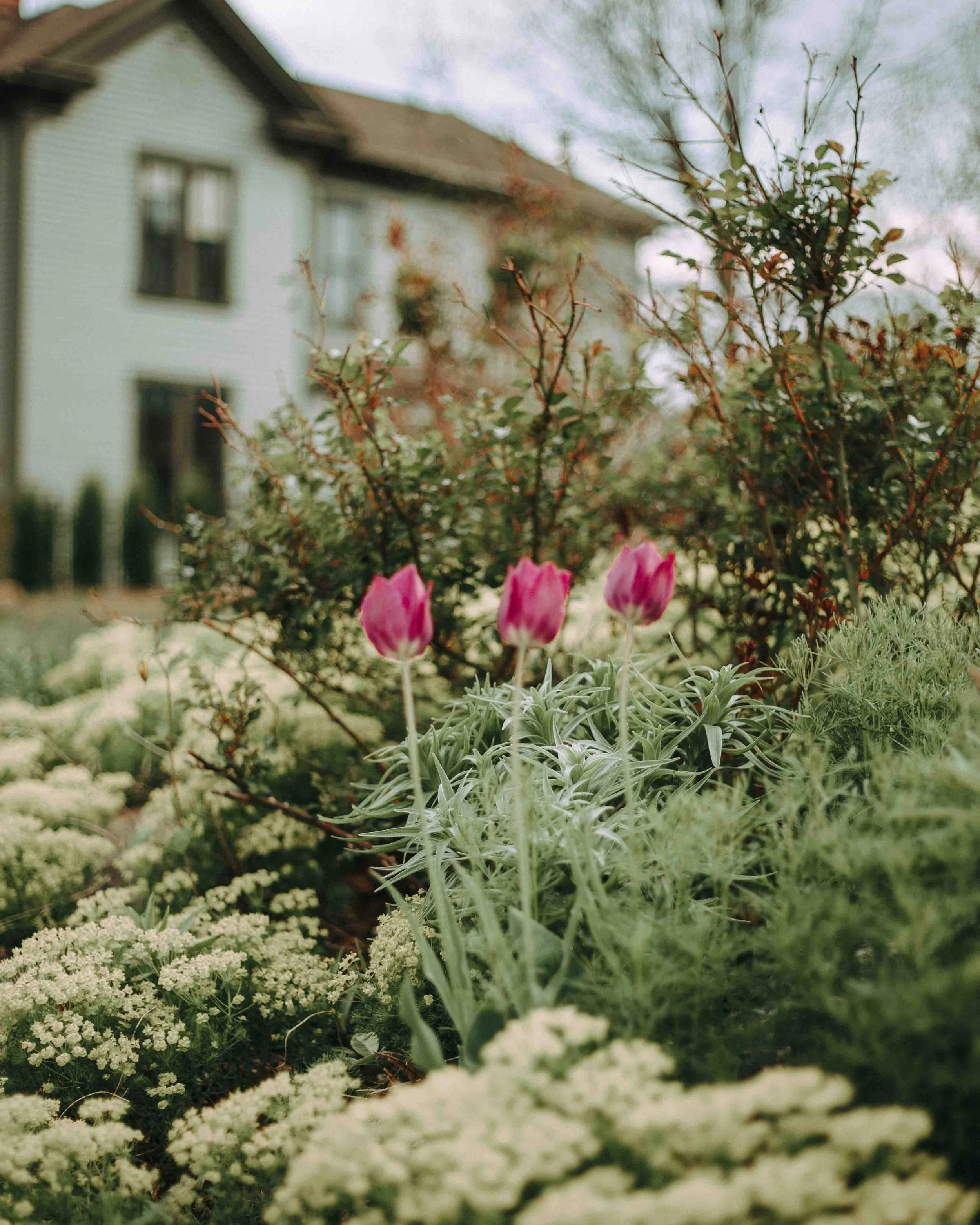 SG25_Springtime-On-The-Hill-26.jpg