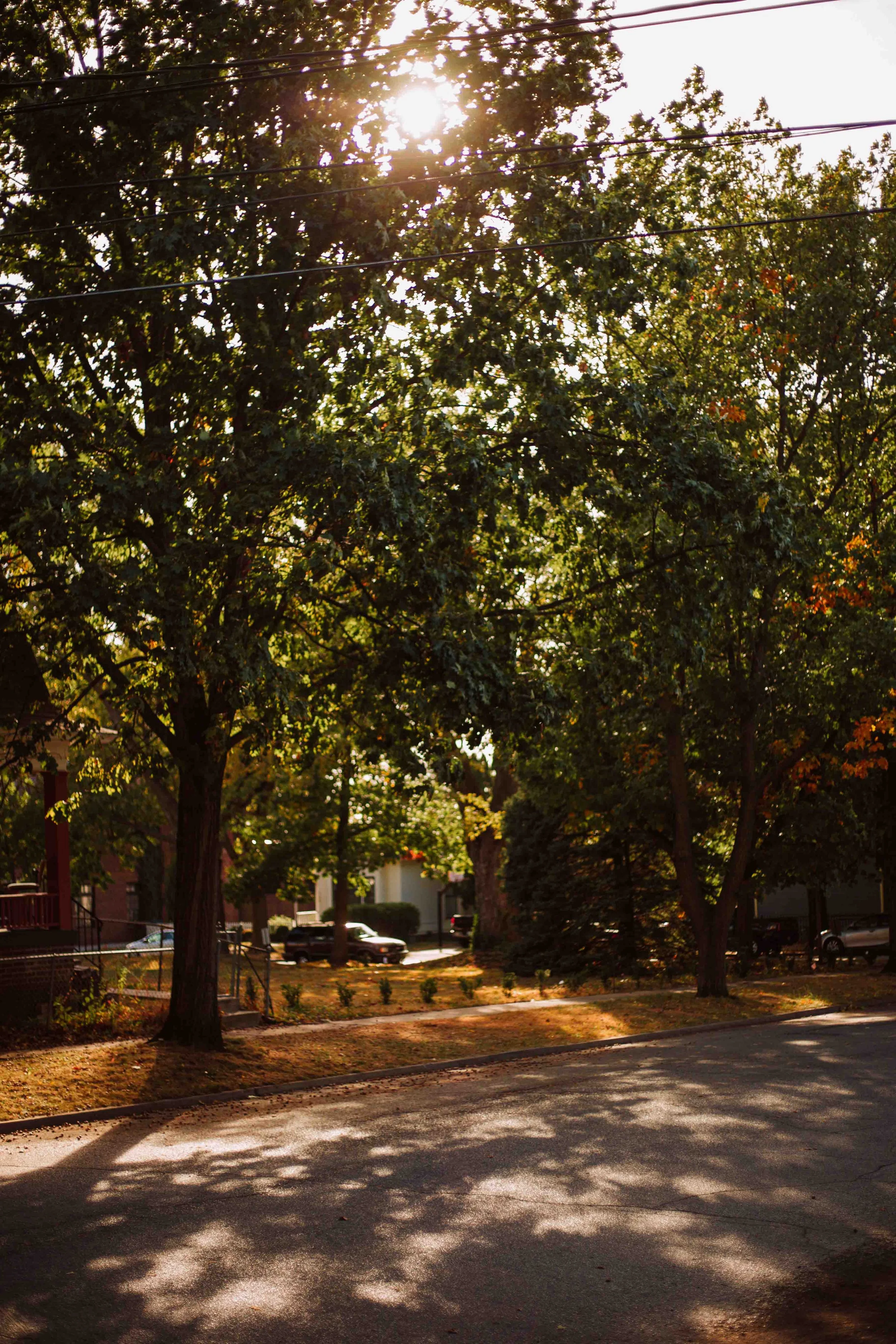 SG24_Fall-Colors-12.jpg