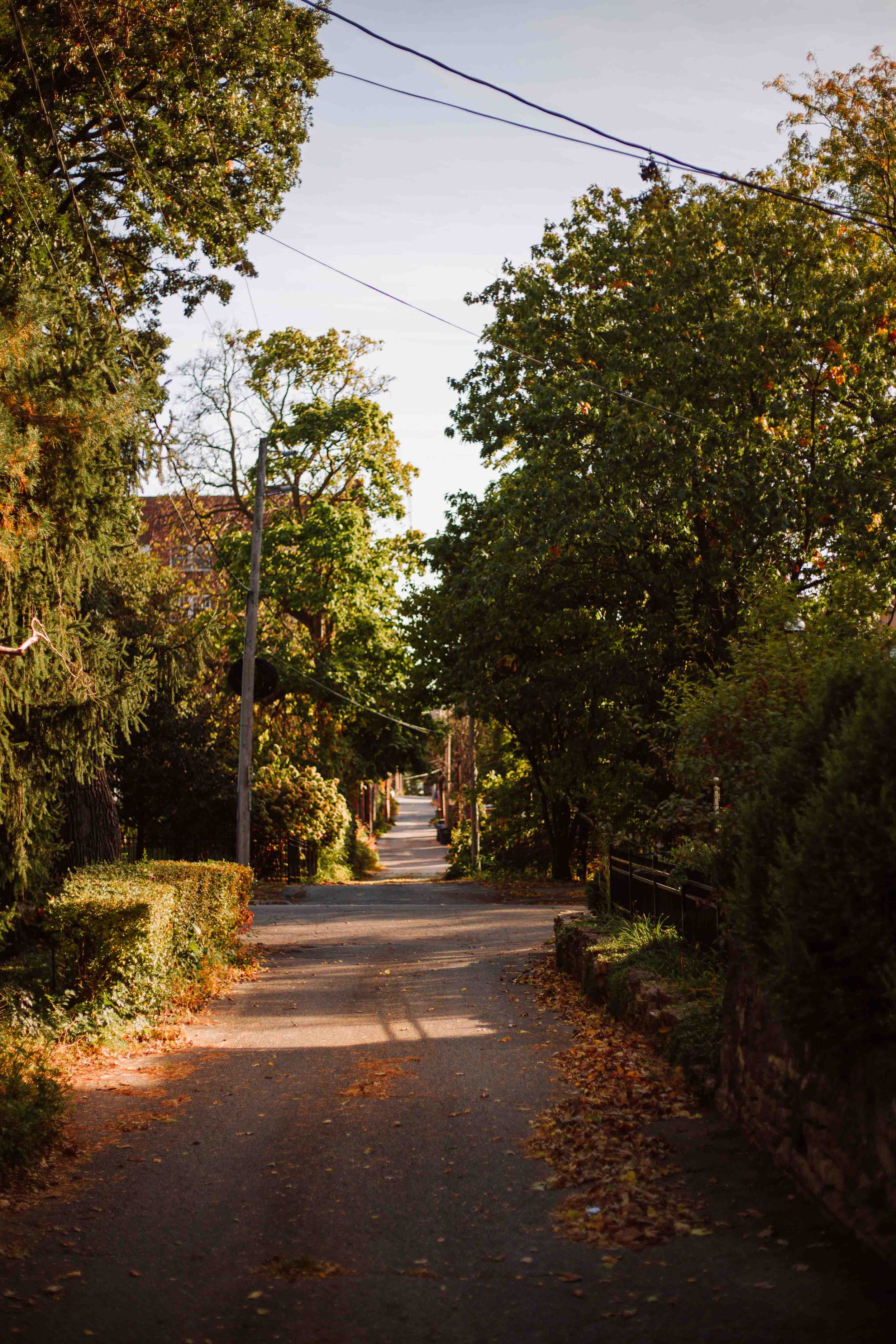 SG24_Fall-Colors-18.jpg