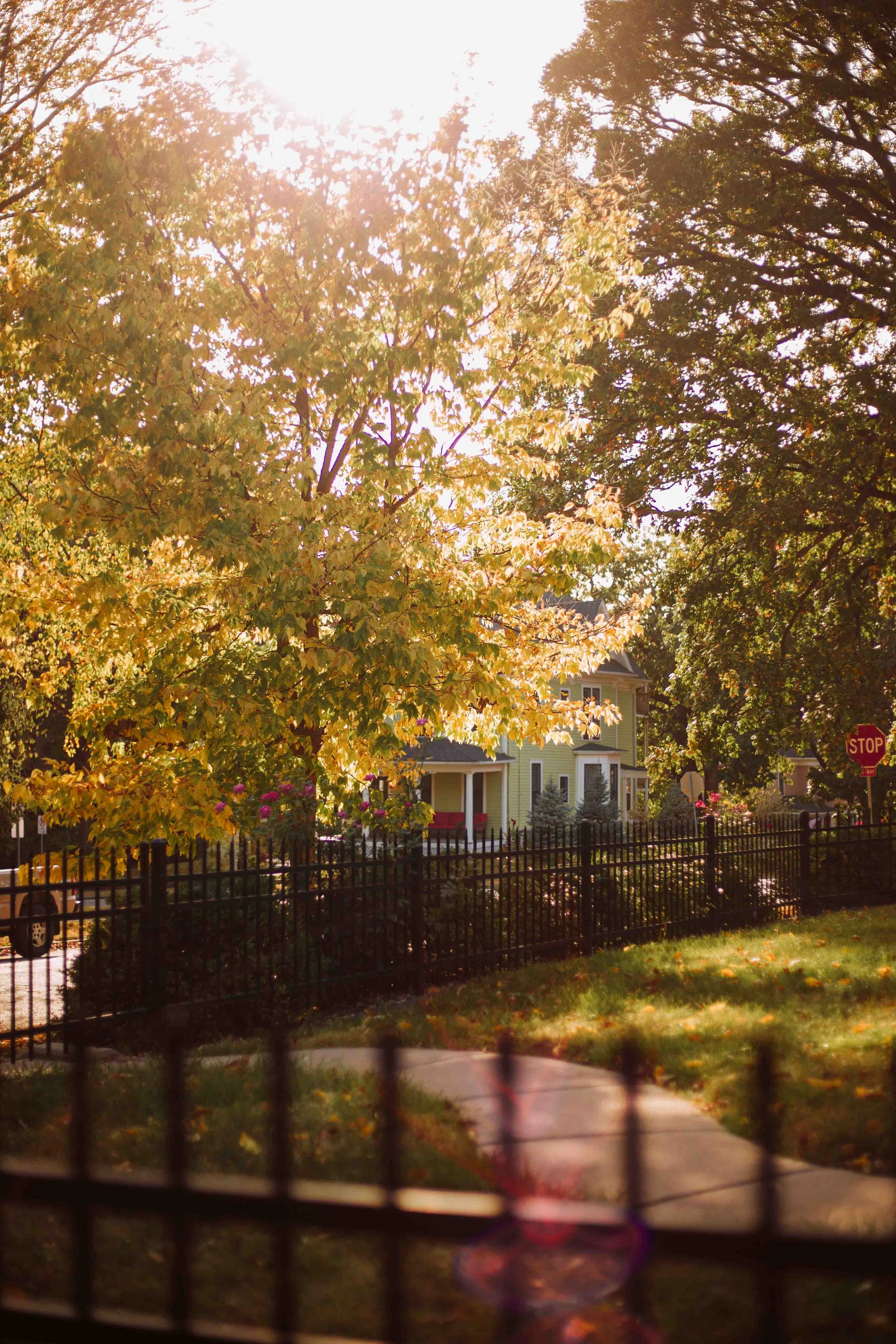 SG24_Fall-Colors-19.jpg
