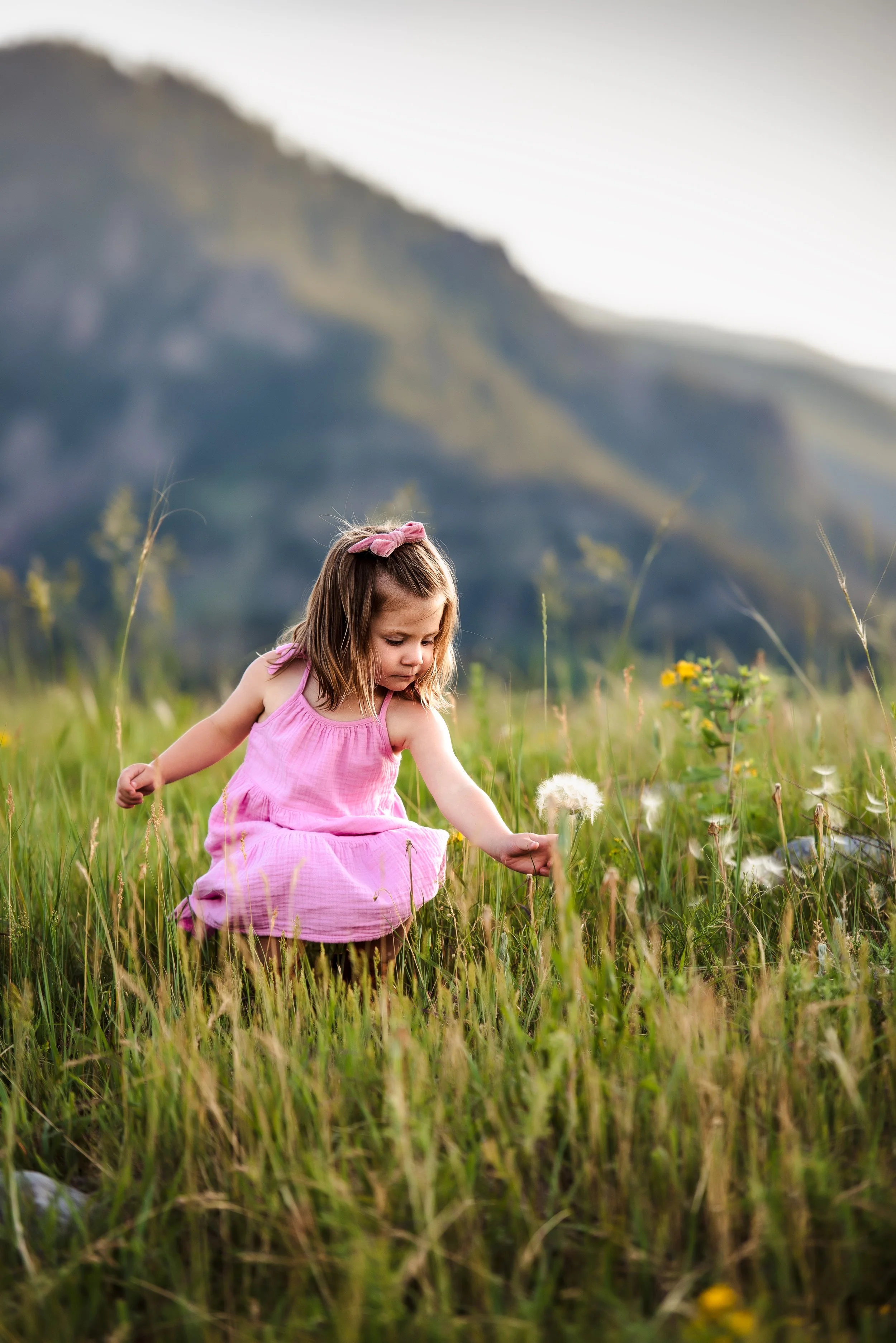 Young girl in a pink dress with a pink bow in her hair, sitting in a grassy field, reaching for a dandelion flower, with mountain scenery in the background.