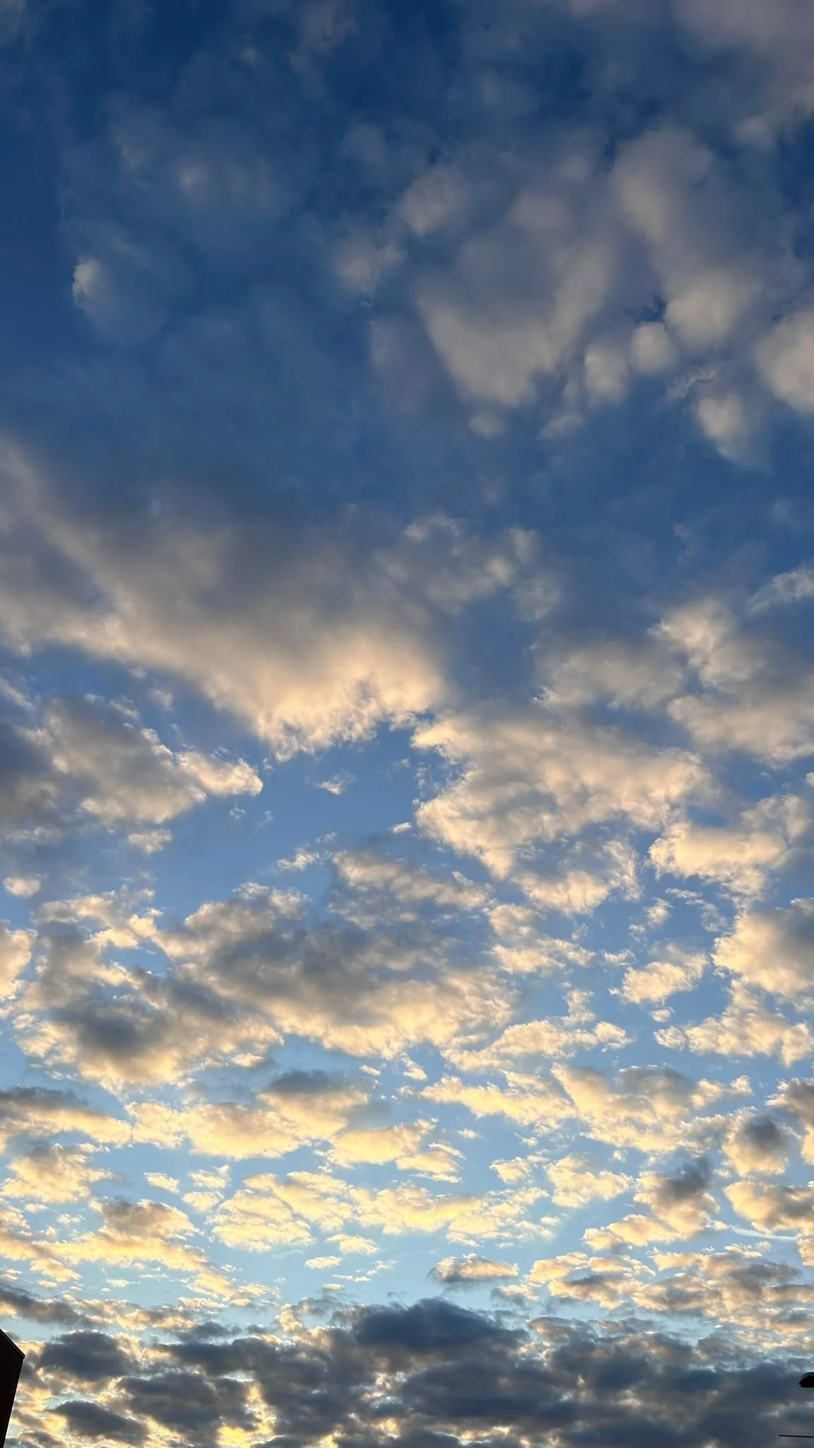 Photo of blue sky with white fluffy clouds.