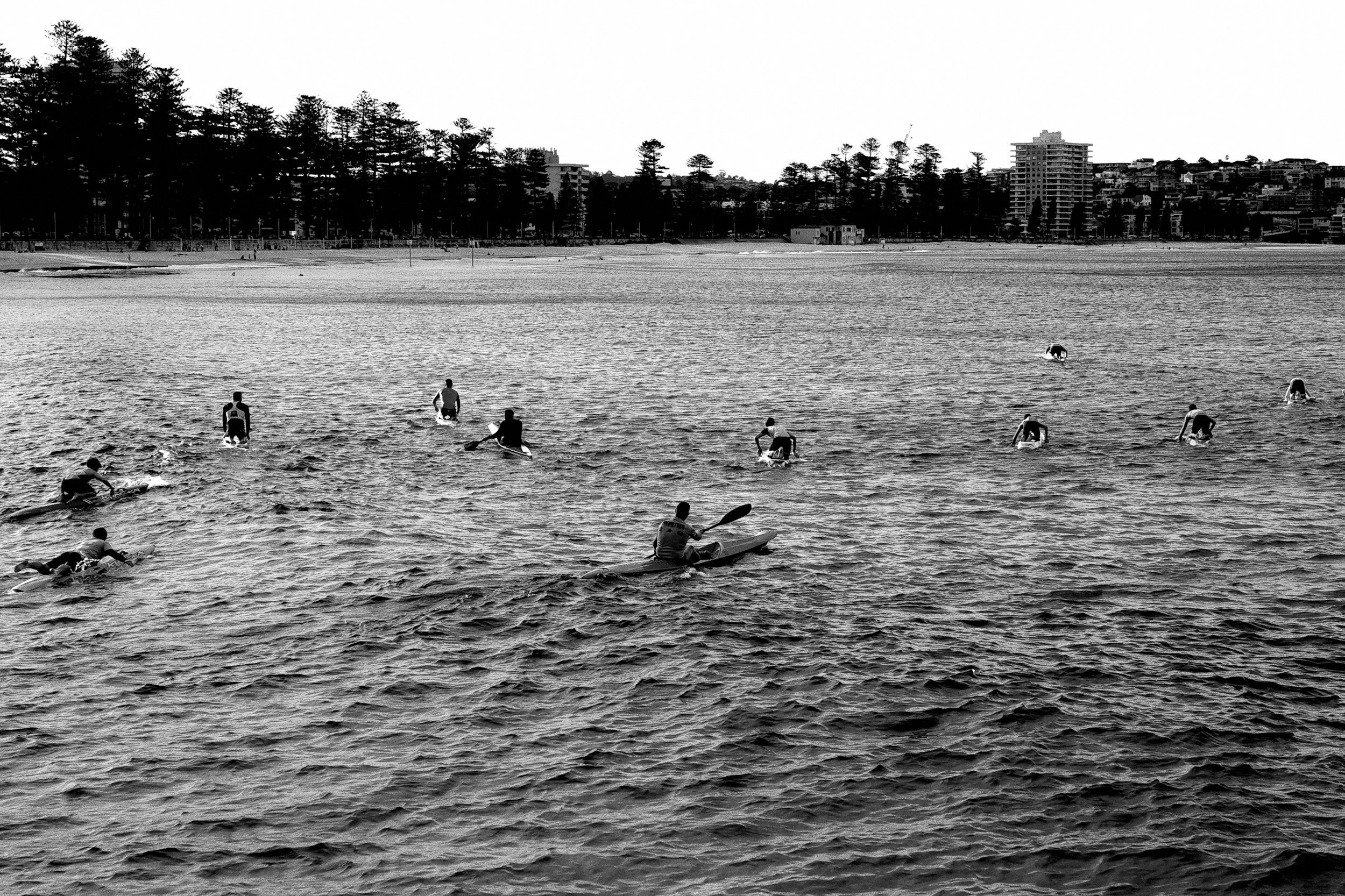 Dee Why, Manly, Brookvale, Belrose, Frenchs Forest, Narrabeen, Collaroy, Balgowlah, Manly Vale