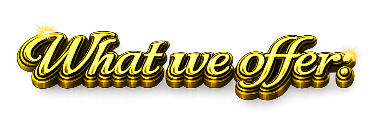 Gold-colored, three-dimensional text that reads "What we offer" on a black background.