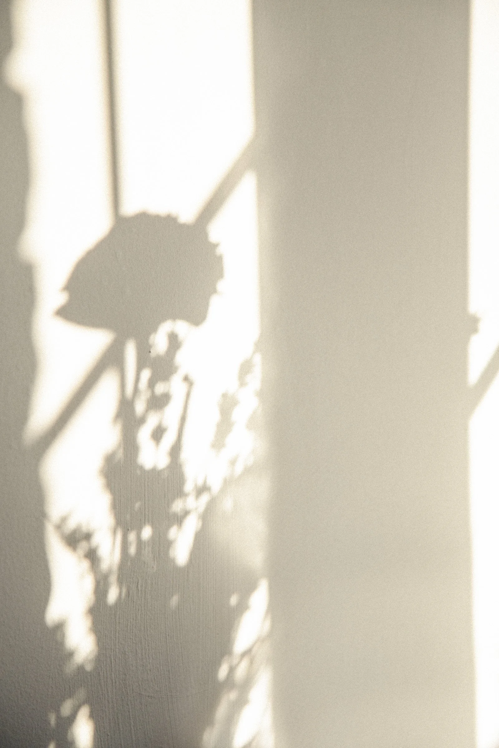 The Movements In My Heart Are No Longer Glacial by Mali Collins | Poetry