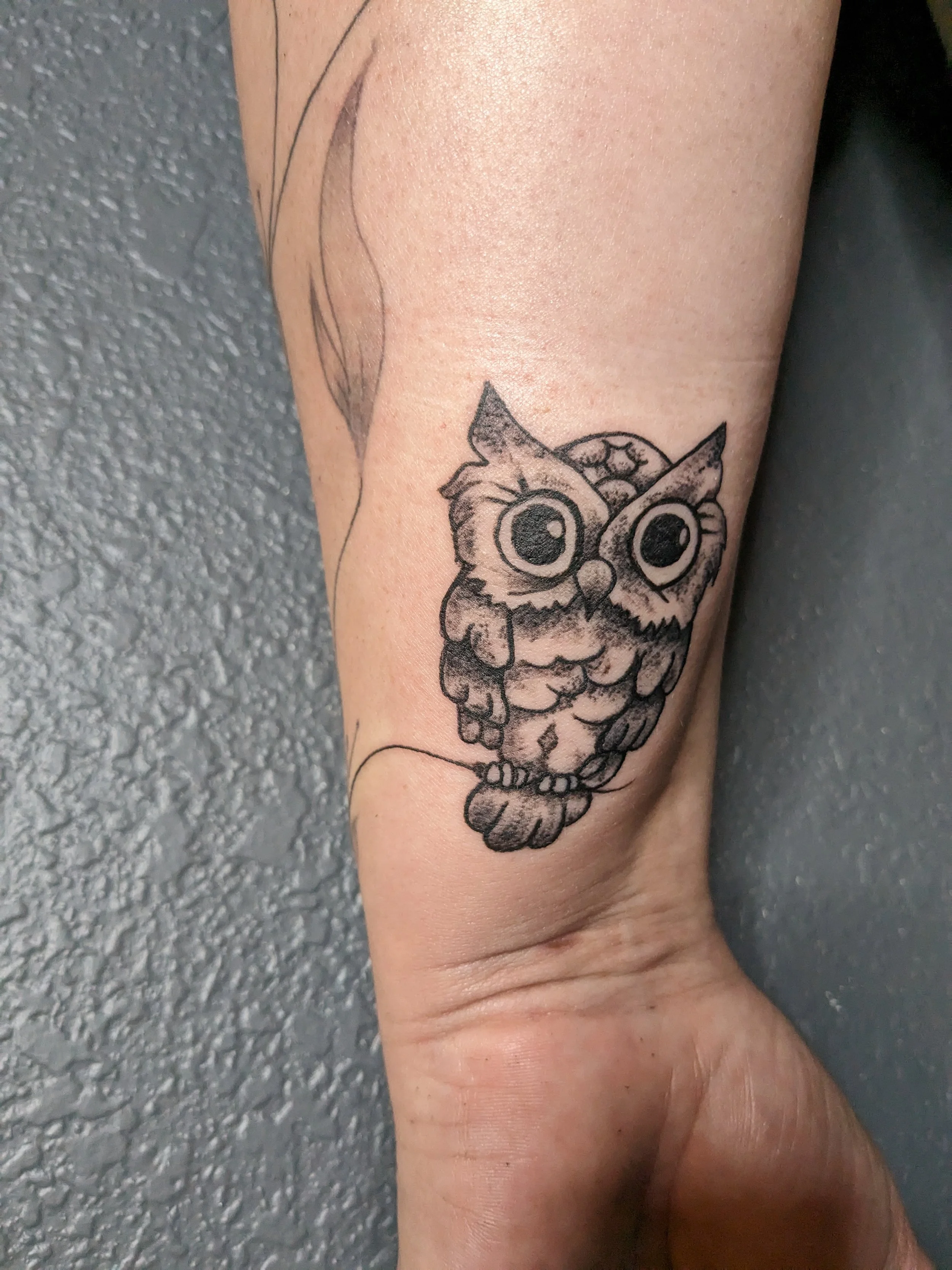 Black and gray tattoo of a cute owl with large eyes and detailed feathers on a person's forearm.